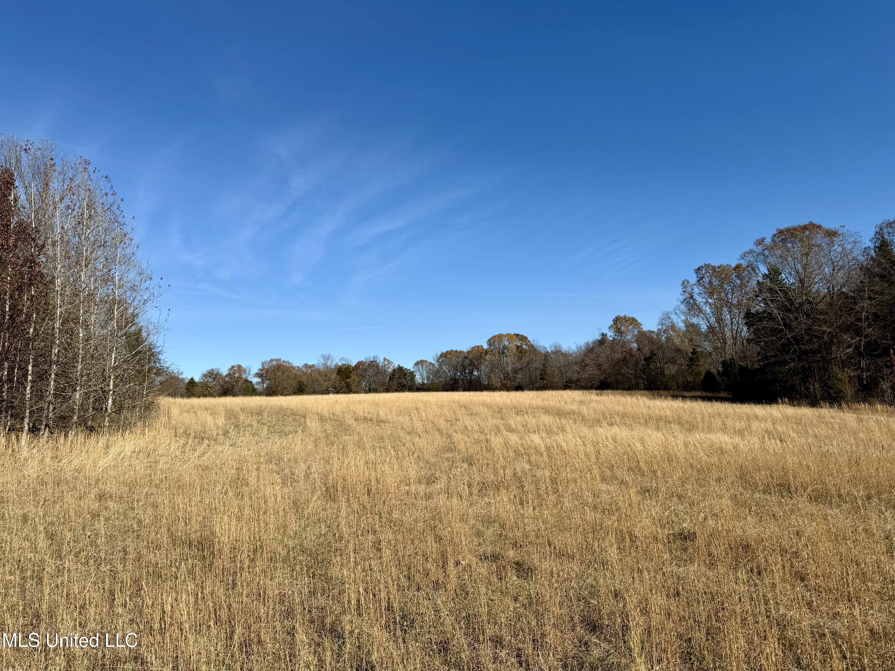 Kelly Ln, Red Banks, Mississippi image 3