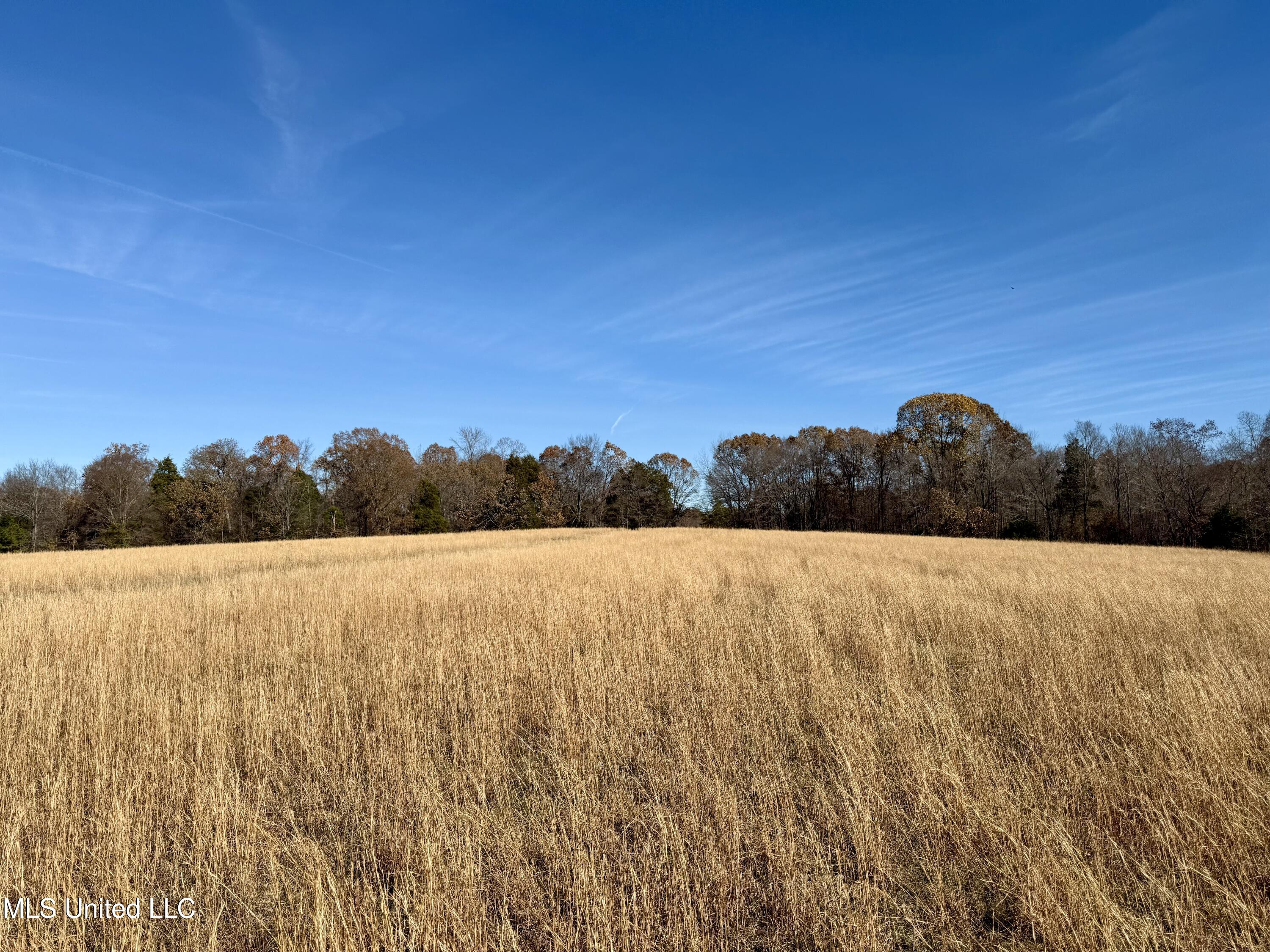 Kelly Ln, Red Banks, Mississippi image 4