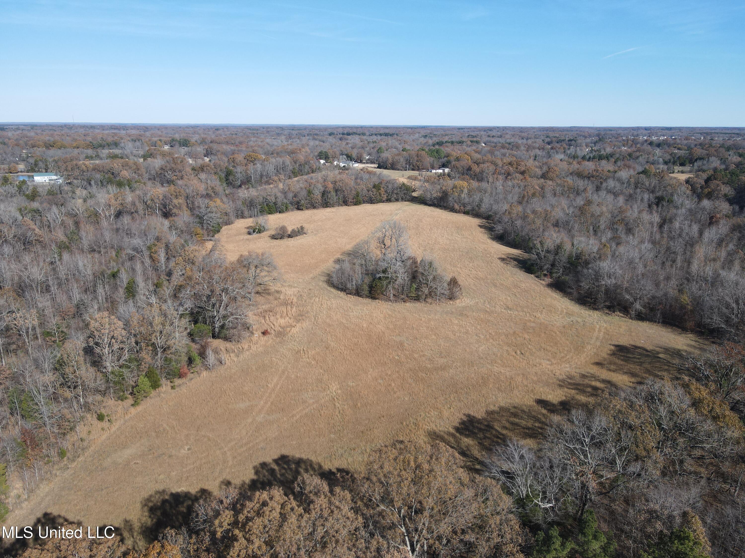 Kelly Ln, Red Banks, Mississippi image 11