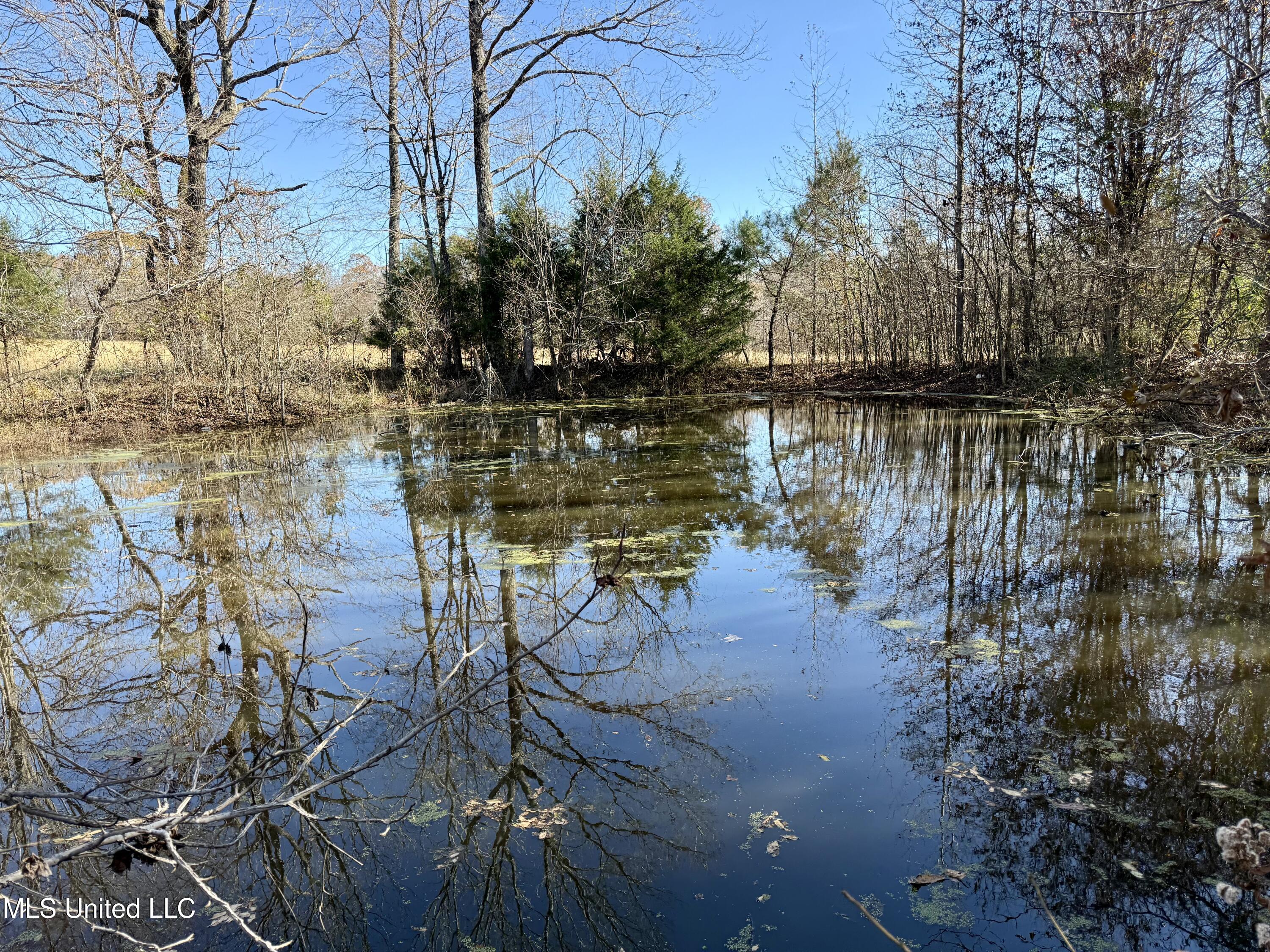 Kelly Ln, Red Banks, Mississippi image 7