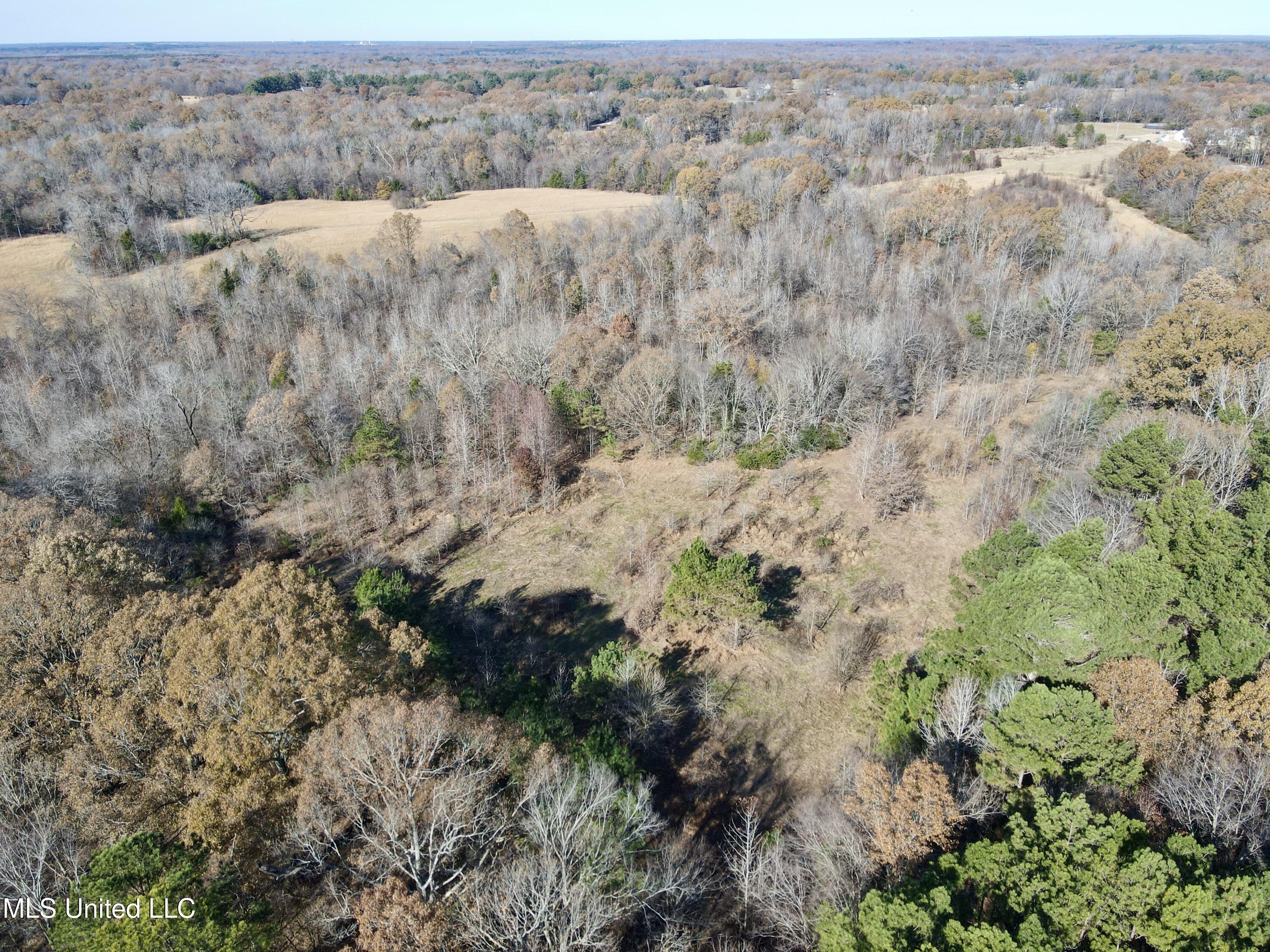 Kelly Ln, Red Banks, Mississippi image 12