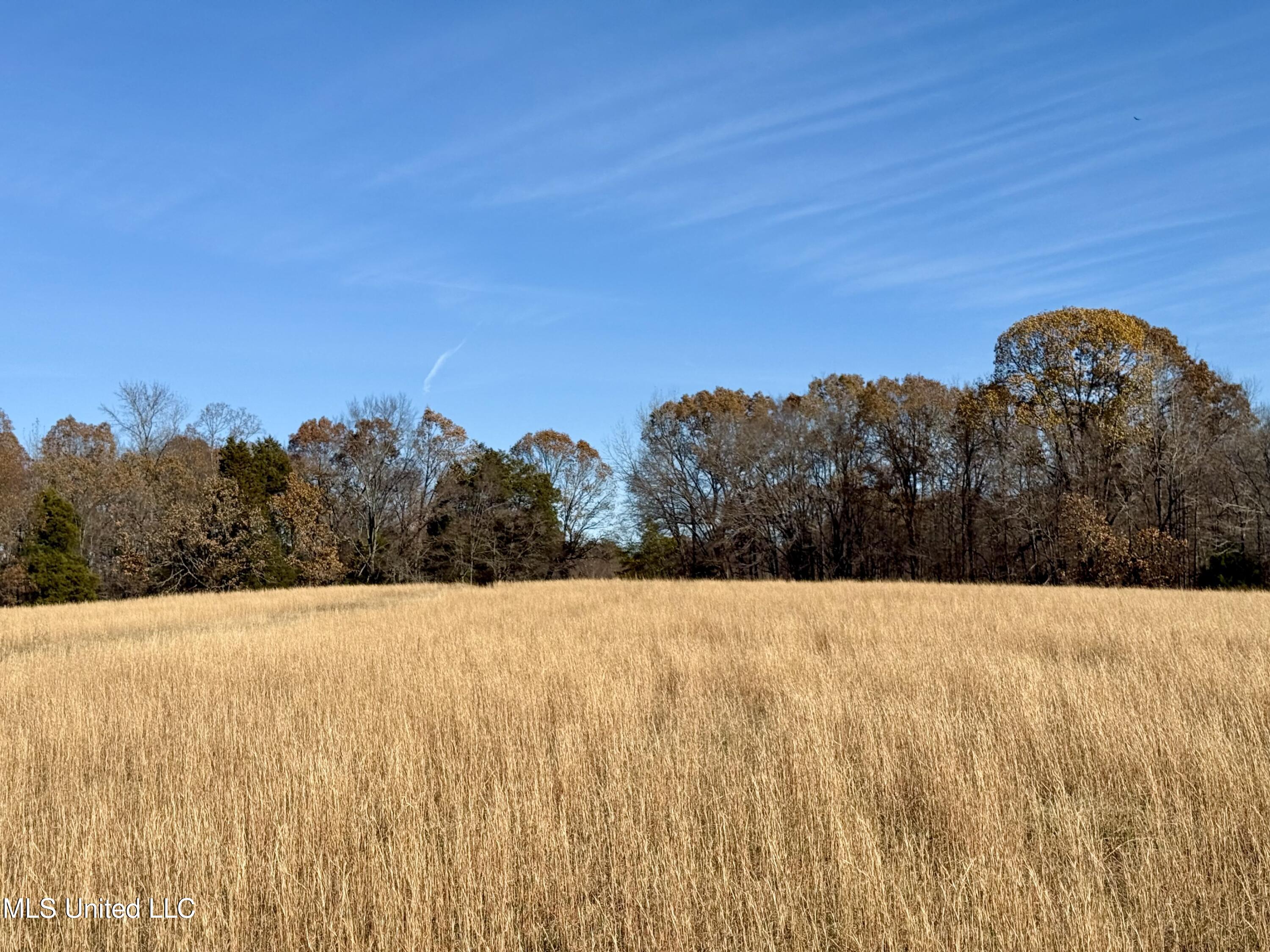 Kelly Ln, Red Banks, Mississippi image 1