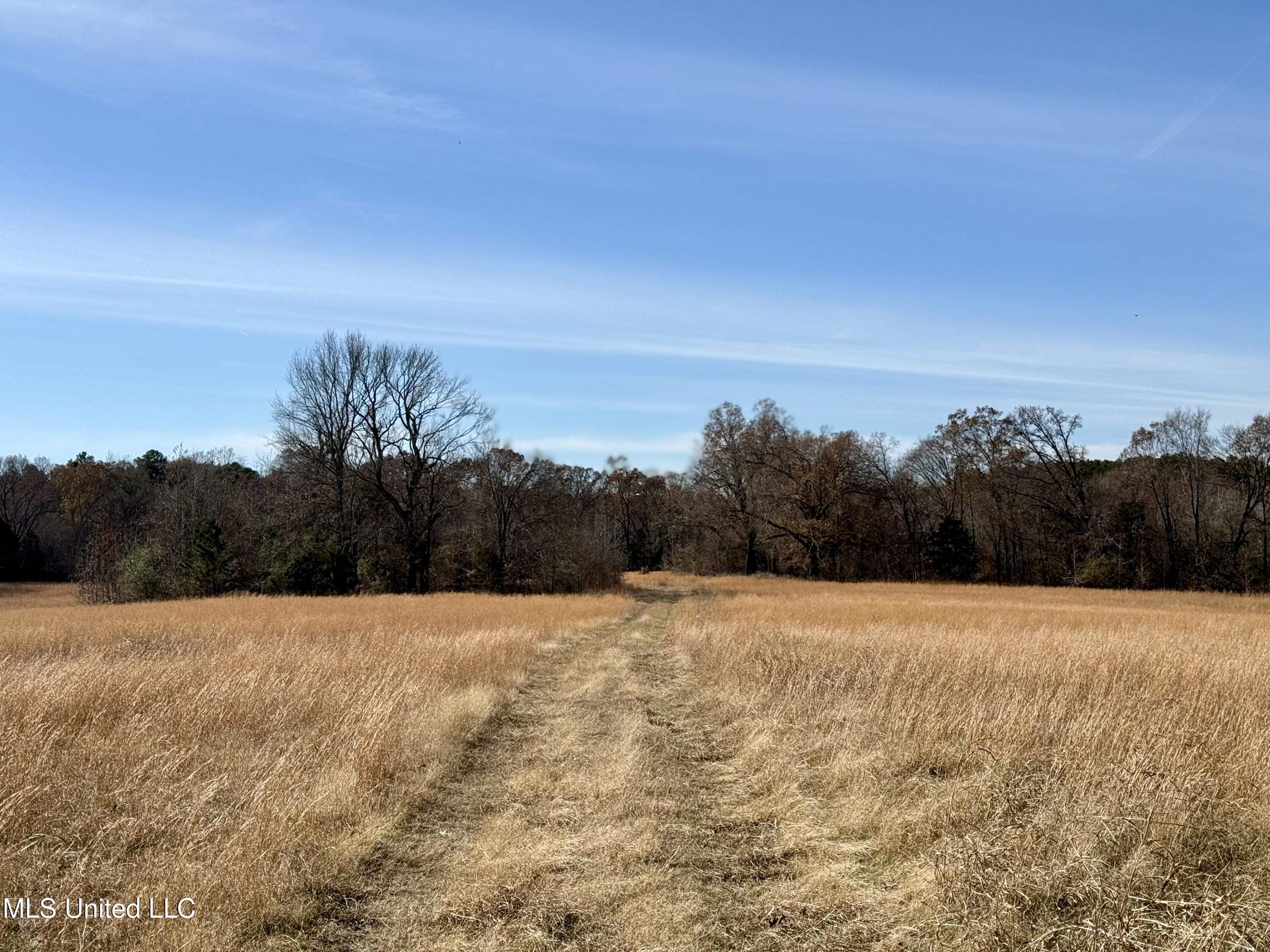 Kelly Ln, Red Banks, Mississippi image 2