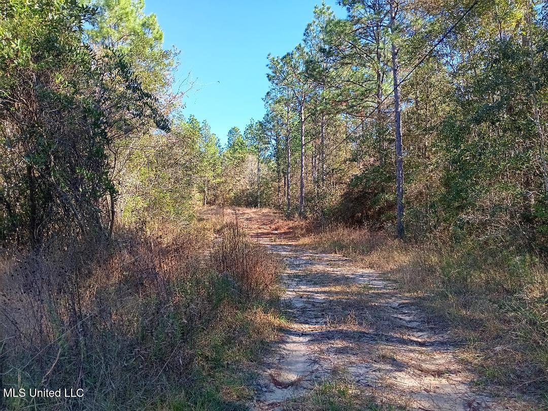 18418 Bonvillain Drive, Saucier, Mississippi image 1