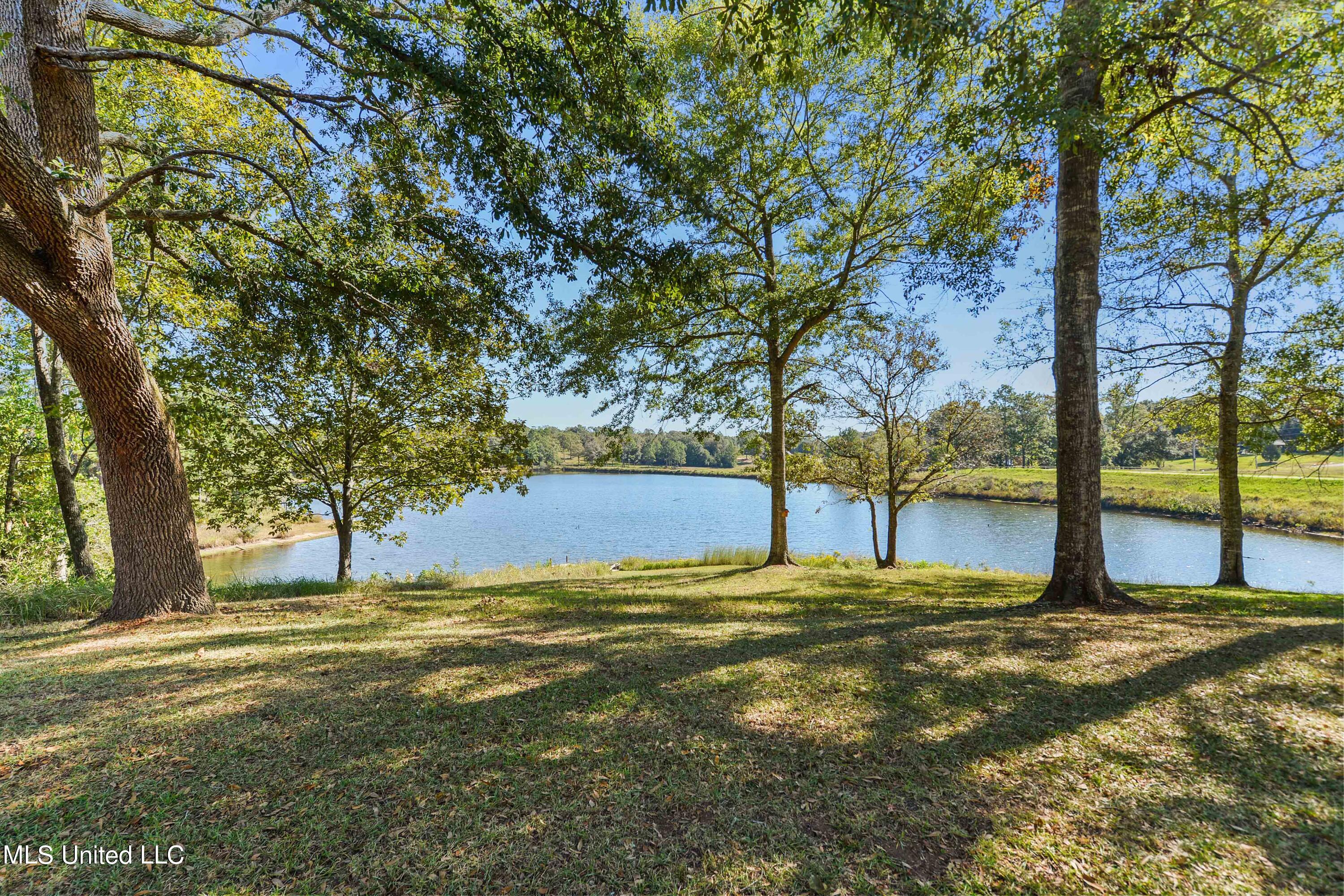 136 Blue Lakes Drive, Lucedale, Mississippi image 38