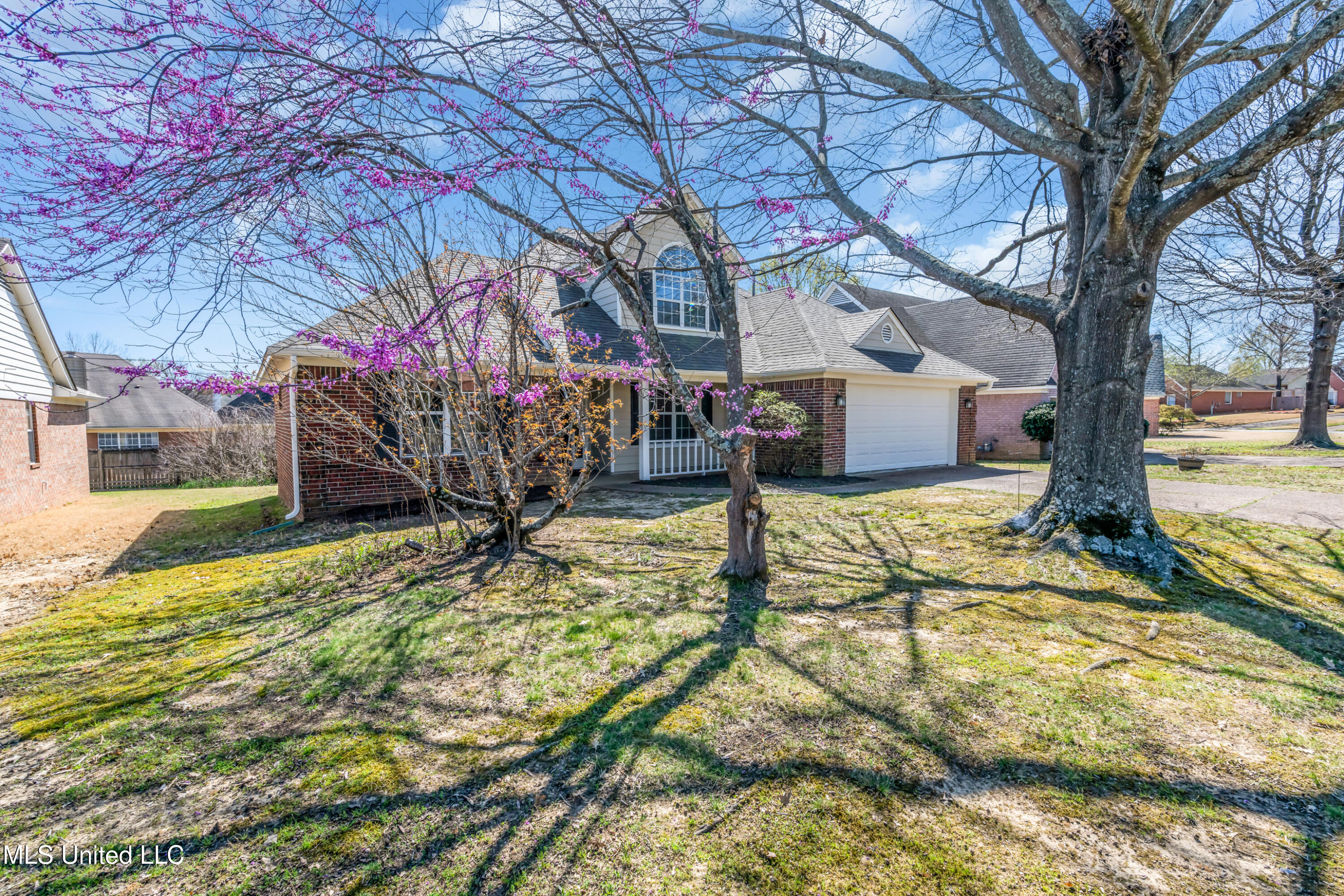 8563 N Sun Vista Drive, Cordova, Tennessee image 2