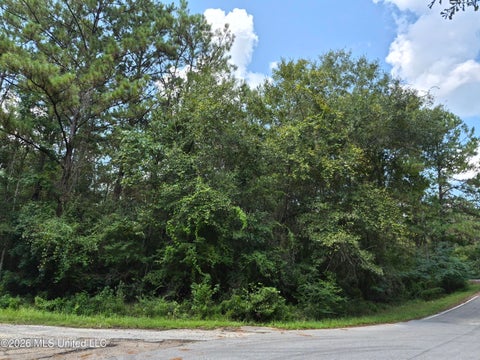Vacant Land For Sale - NHN Ann Avenue<br/> Gulfport, MS 39503
