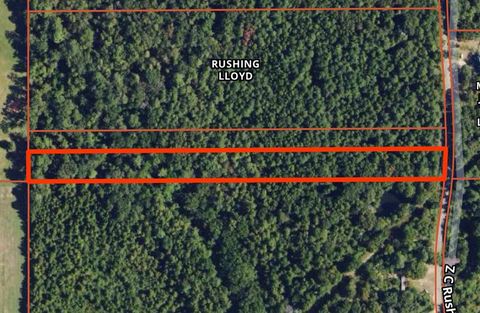 Vacant Land For Sale - TBD Z C Rushing Road<br/> Tylertown, MS 39667
