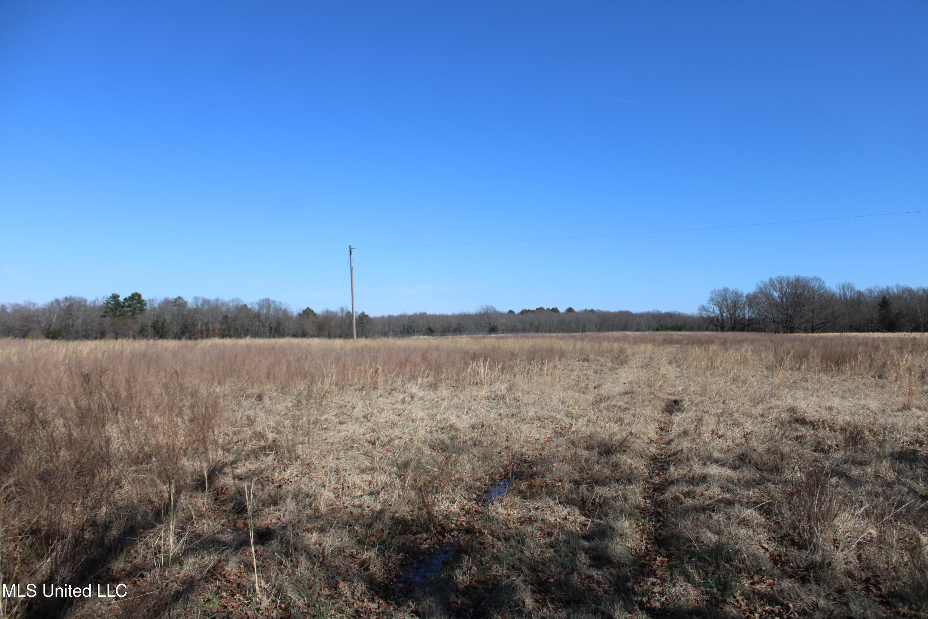 252 Shinpoch Lane, Olive Branch, Mississippi image 16