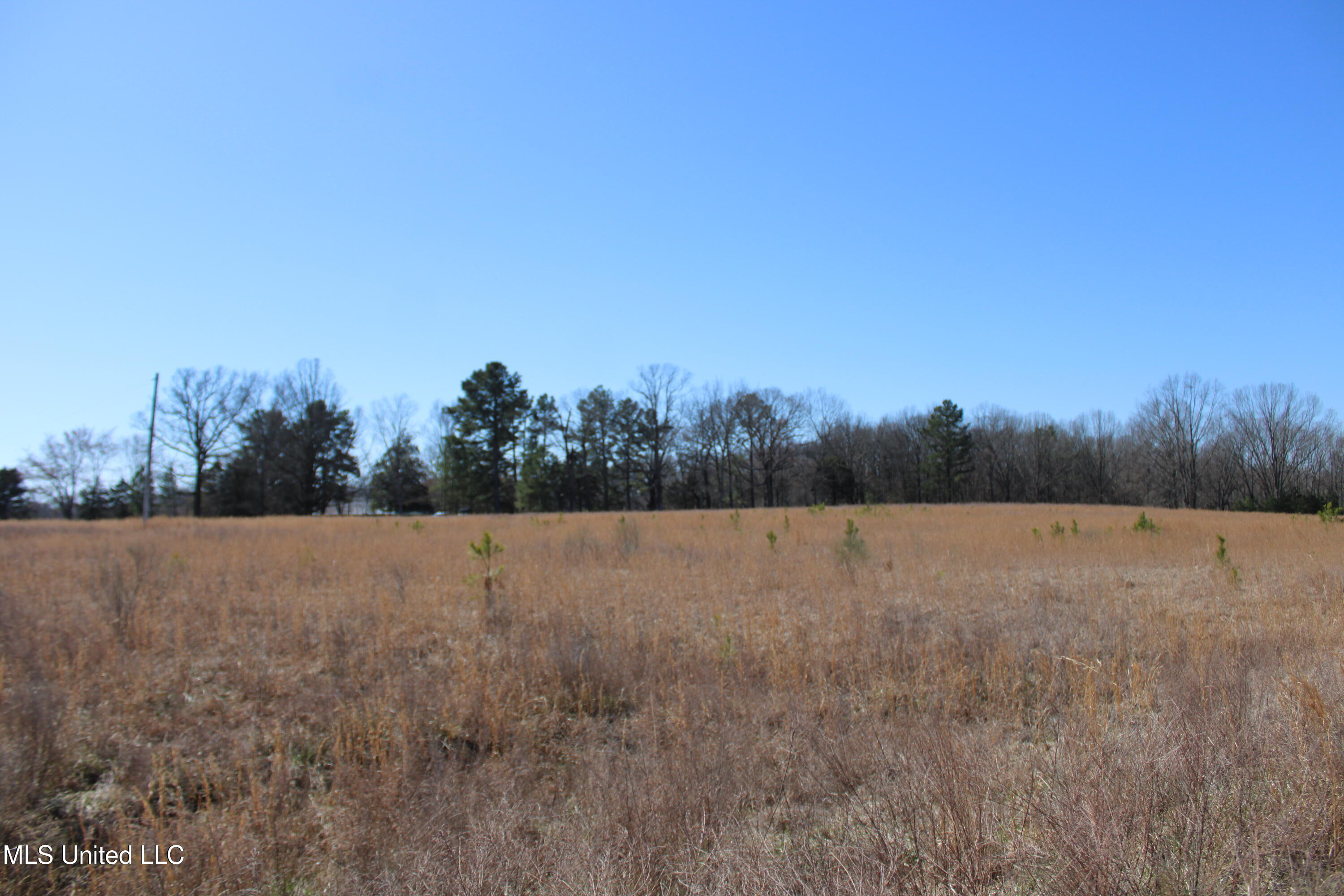 252 Shinpoch Lane, Olive Branch, Mississippi image 23