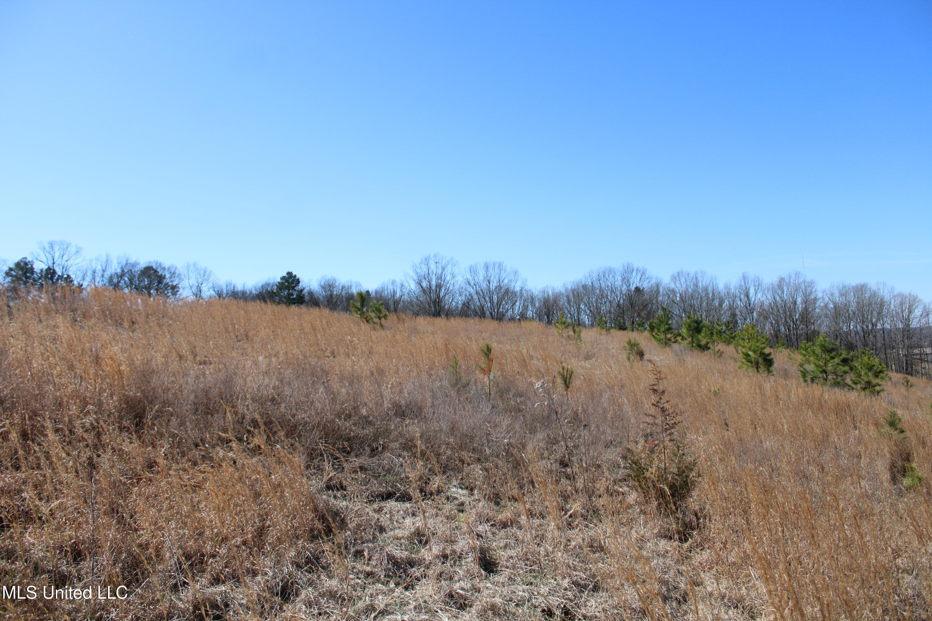 252 Shinpoch Lane, Olive Branch, Mississippi image 27