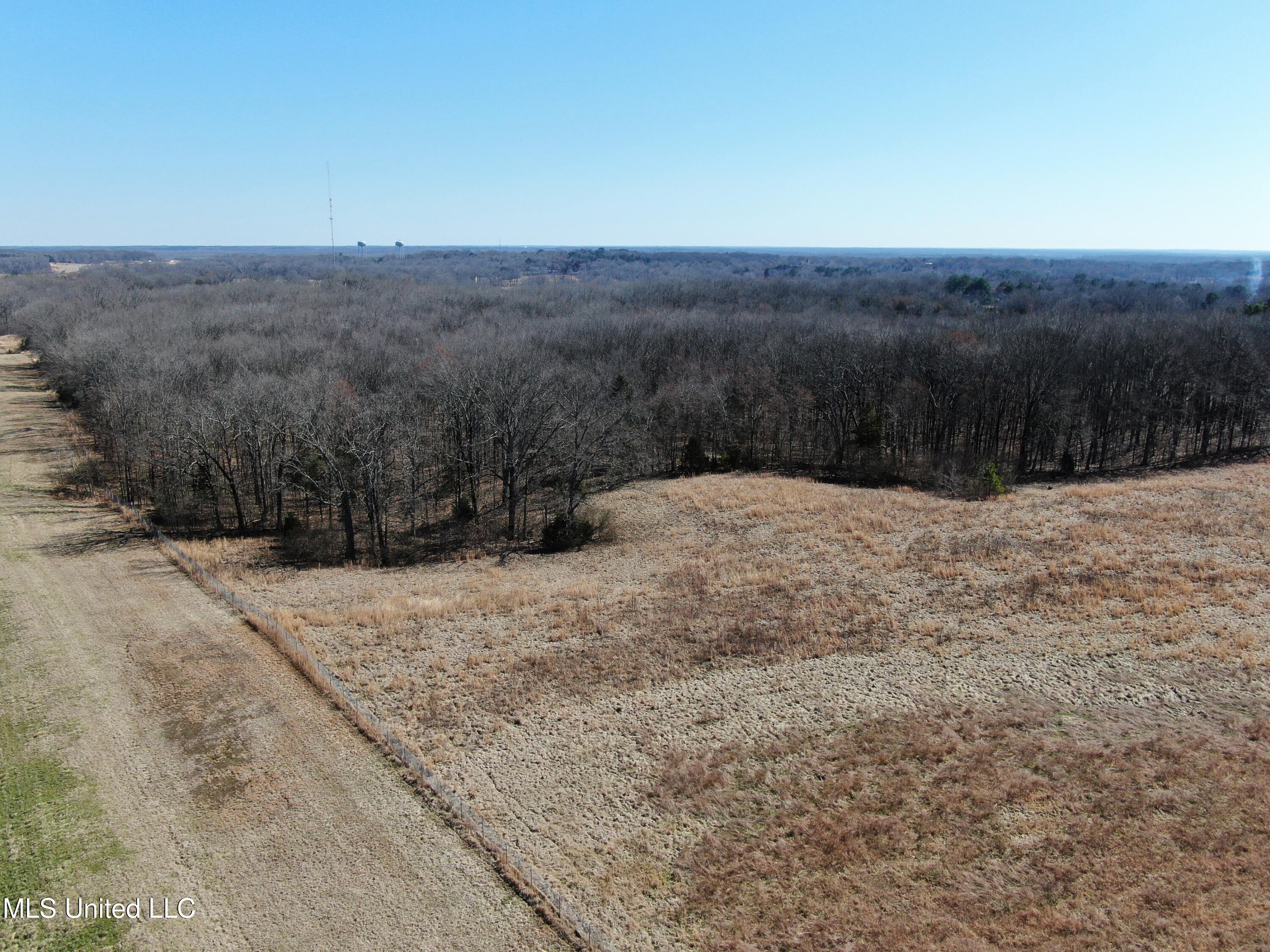 252 Shinpoch Lane, Olive Branch, Mississippi image 7