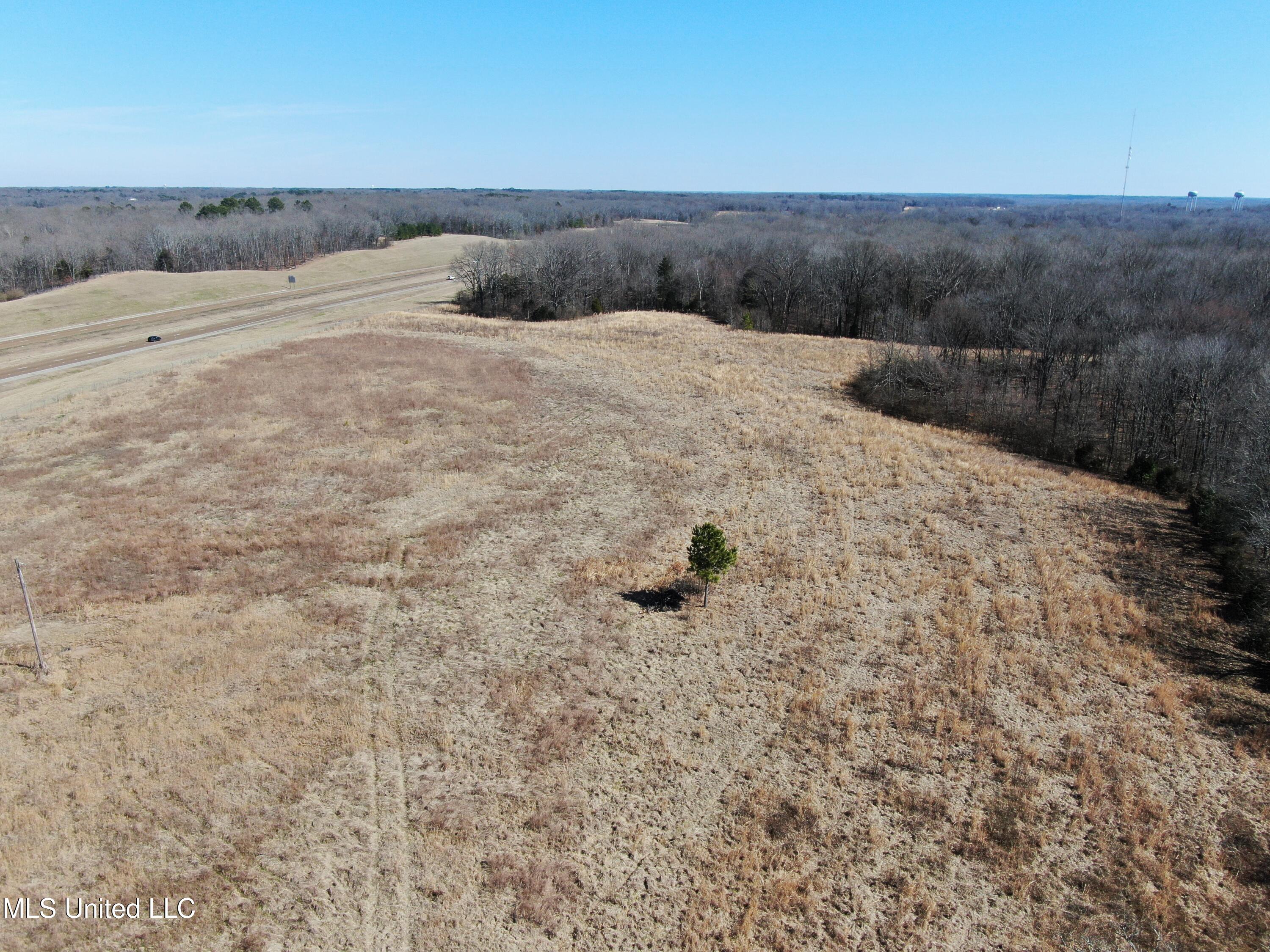 252 Shinpoch Lane, Olive Branch, Mississippi image 2