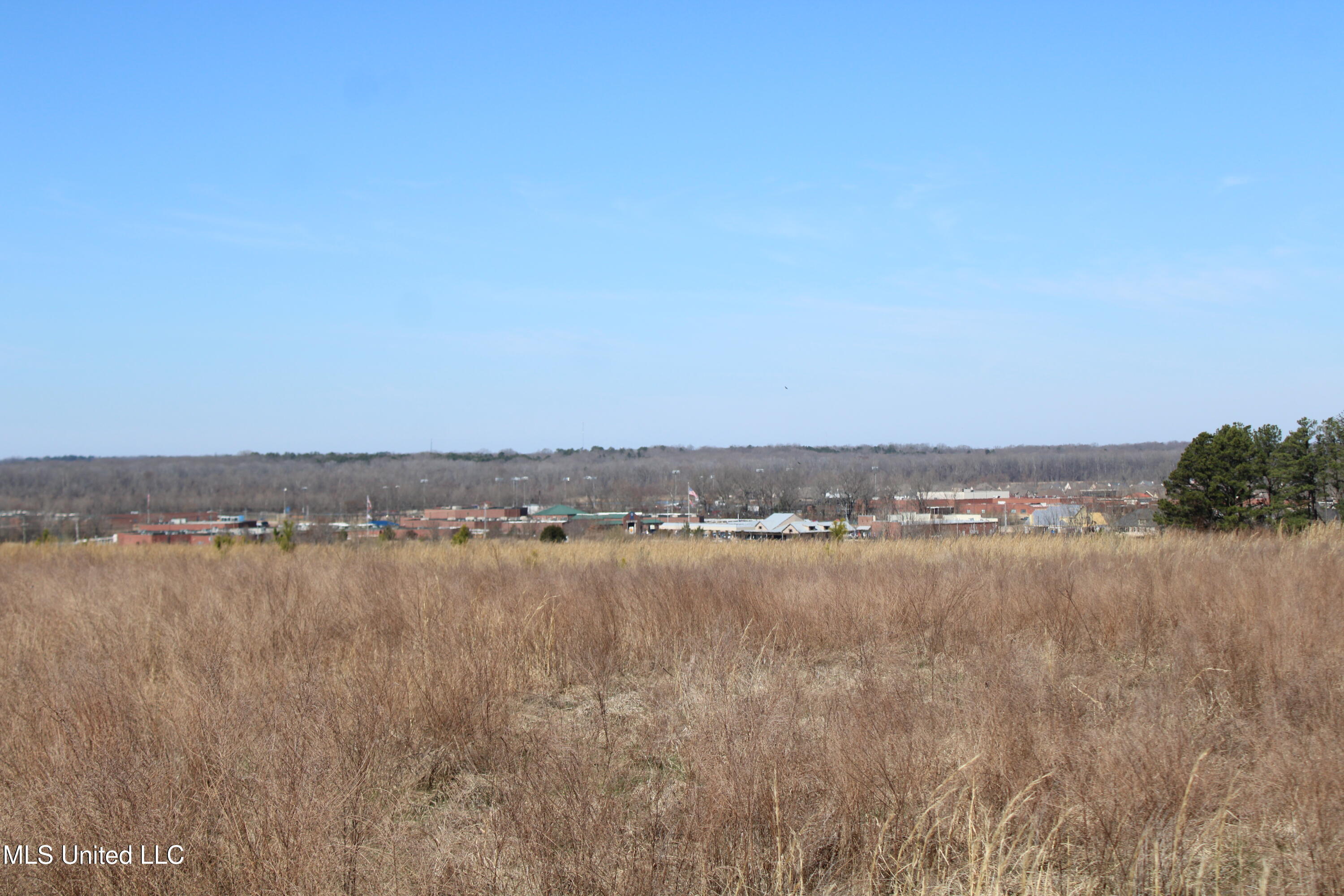 252 Shinpoch Lane, Olive Branch, Mississippi image 22