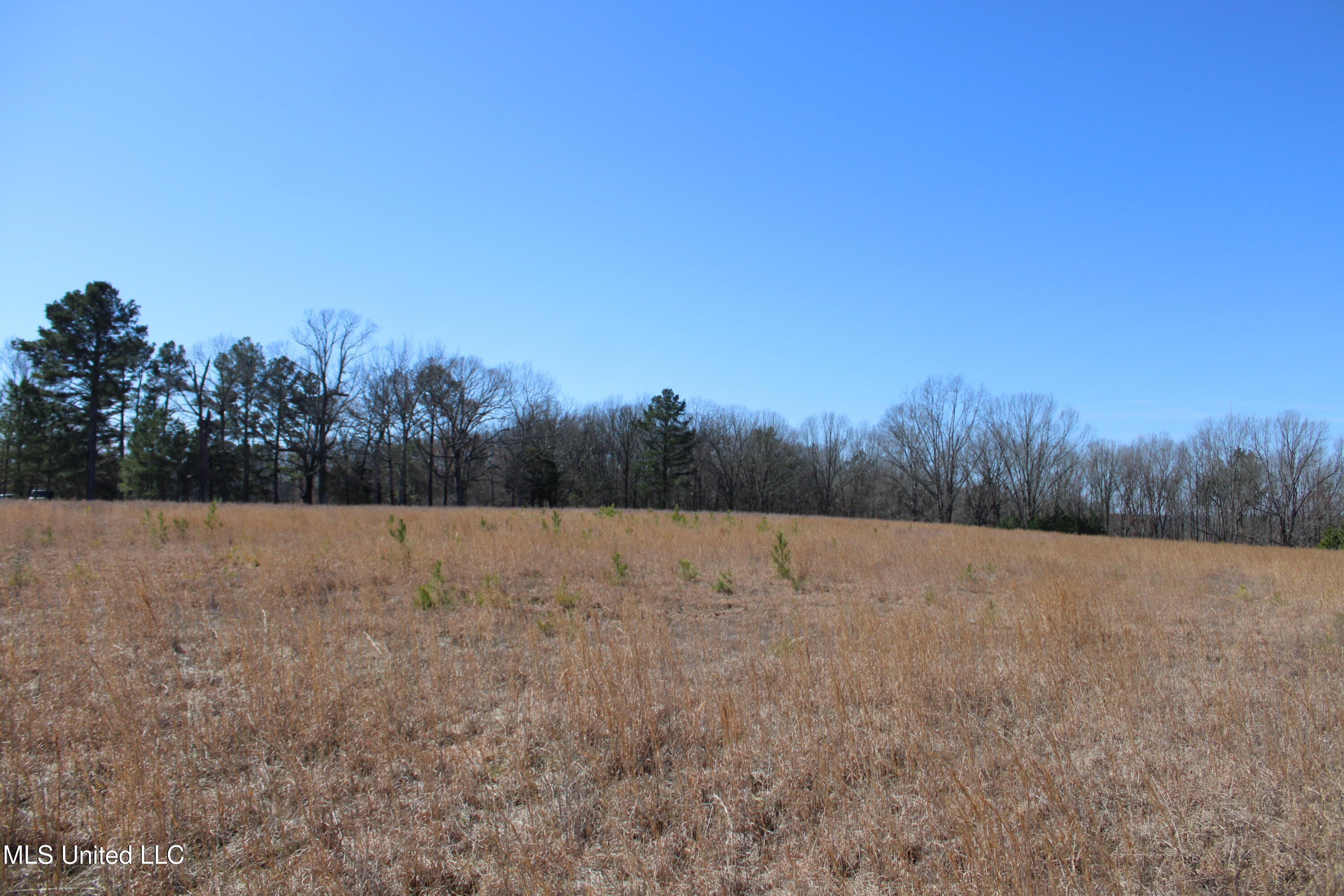 252 Shinpoch Lane, Olive Branch, Mississippi image 29