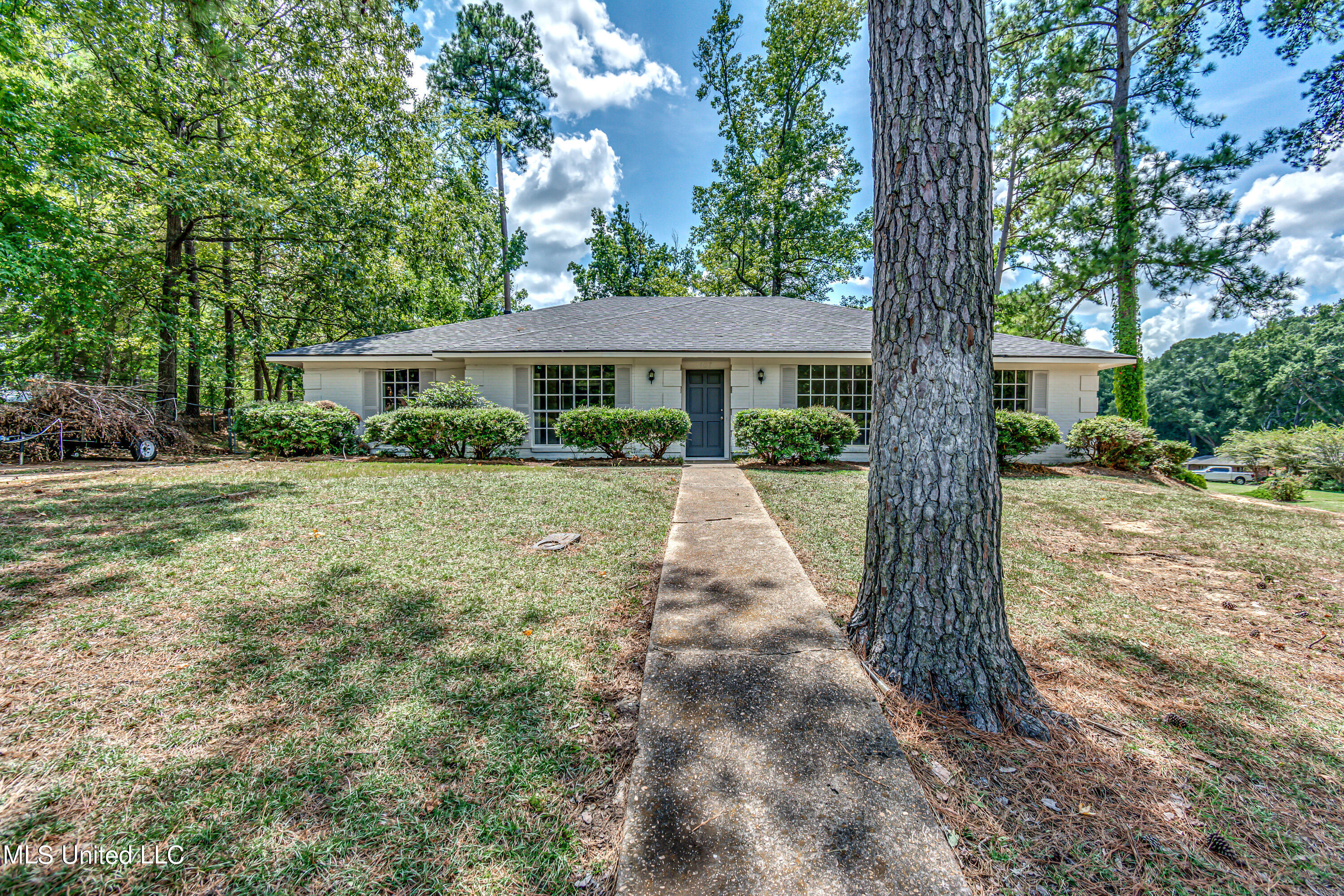 107 Woodgate Drive, Brandon, Mississippi image 3