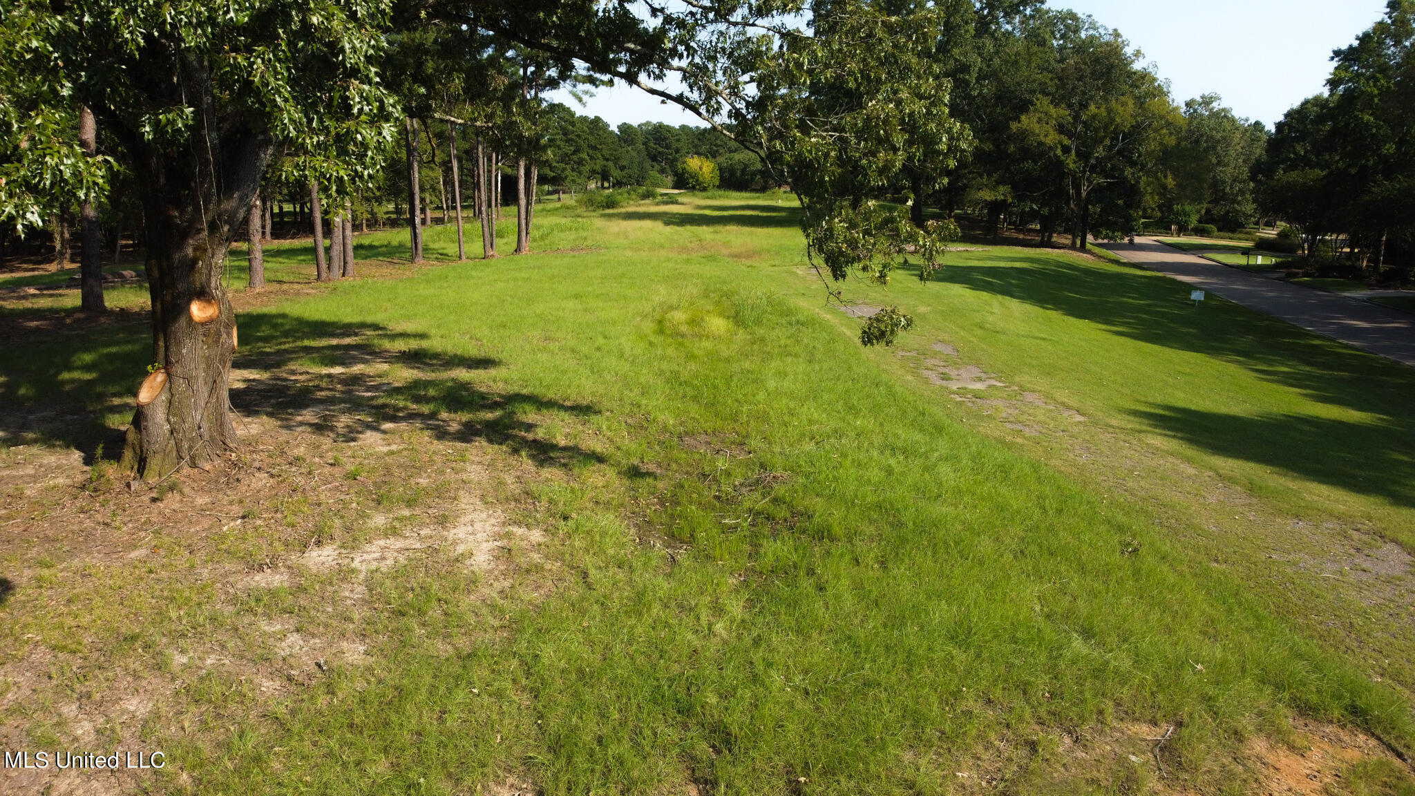 Annandale Drive, Madison, Mississippi image 13