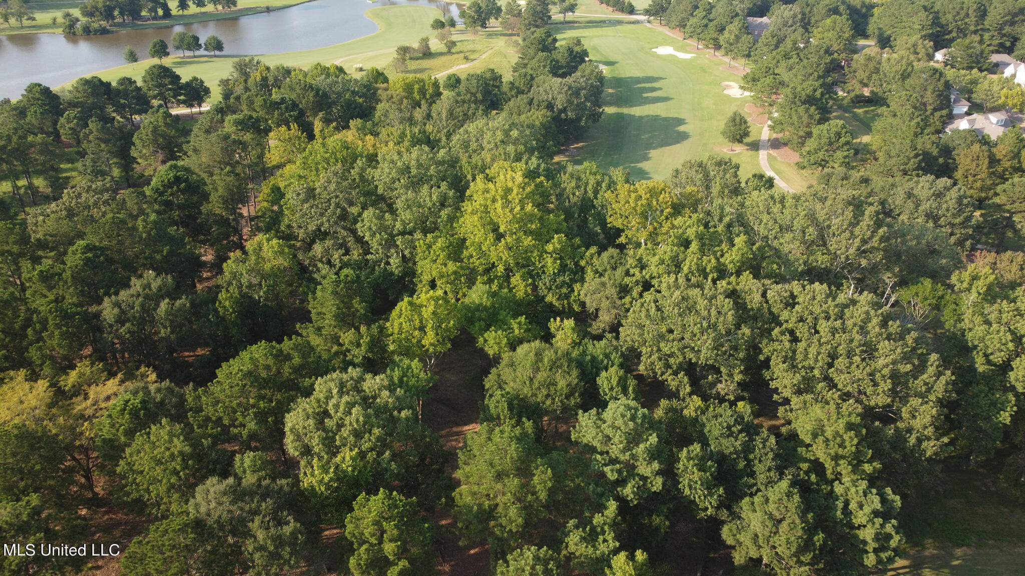 Annandale Drive, Madison, Mississippi image 3