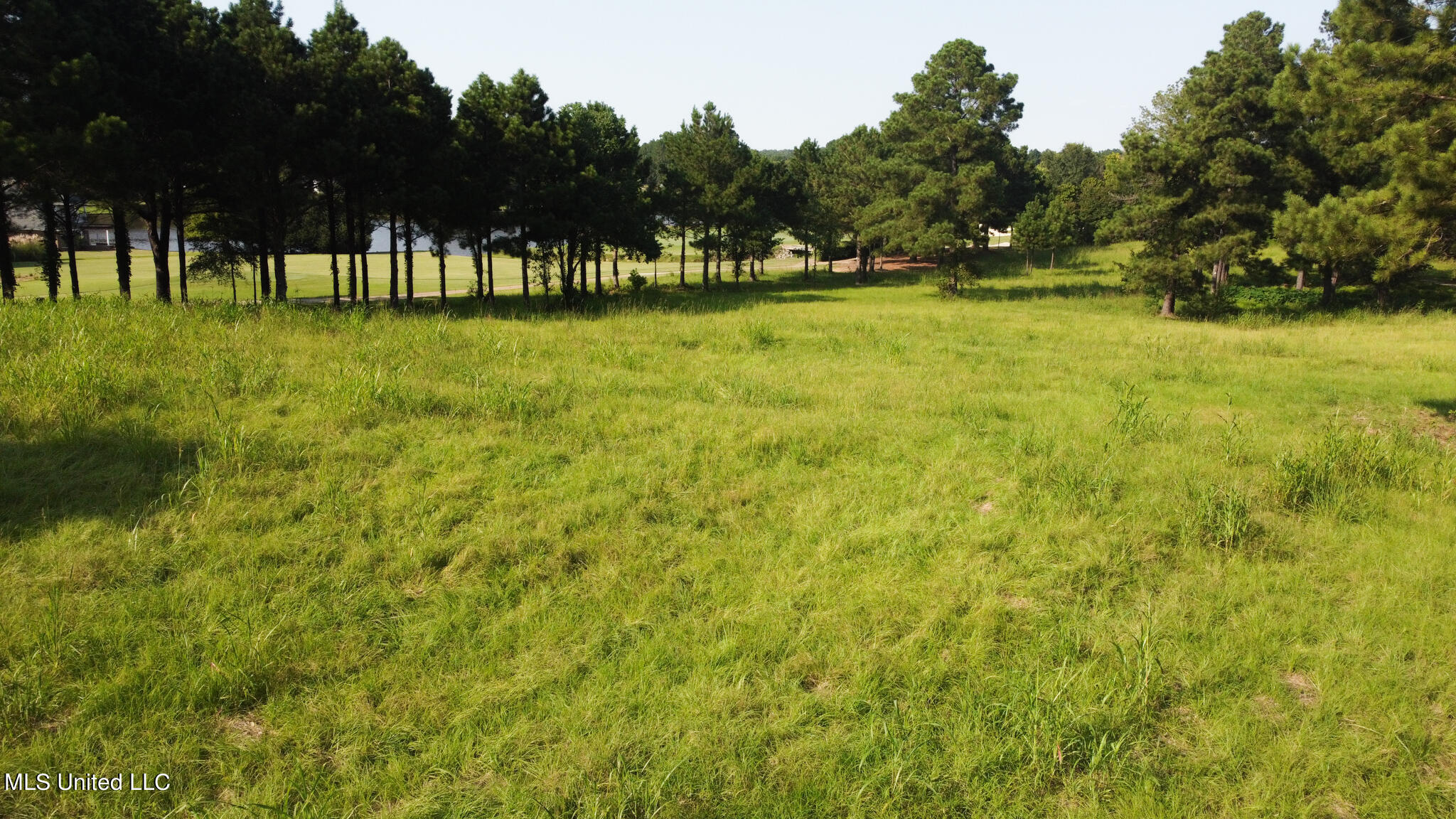 Annandale Drive, Madison, Mississippi image 15