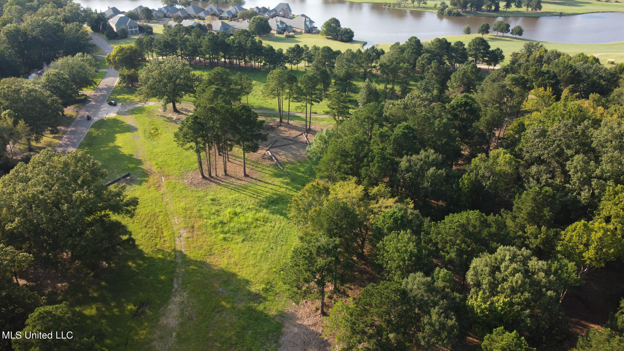 Annandale Drive, Madison, Mississippi image 4