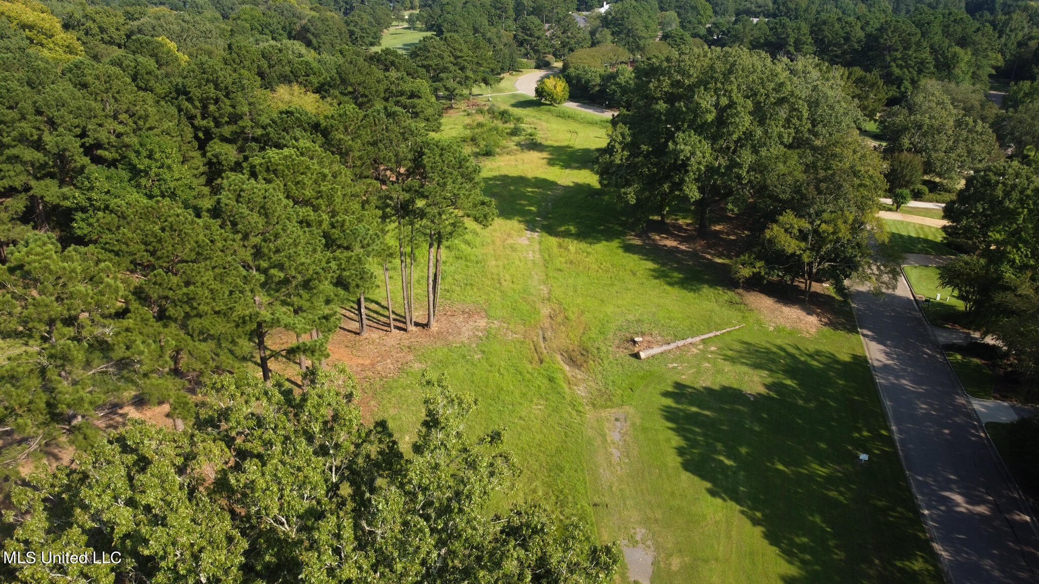 Annandale Drive, Madison, Mississippi image 12