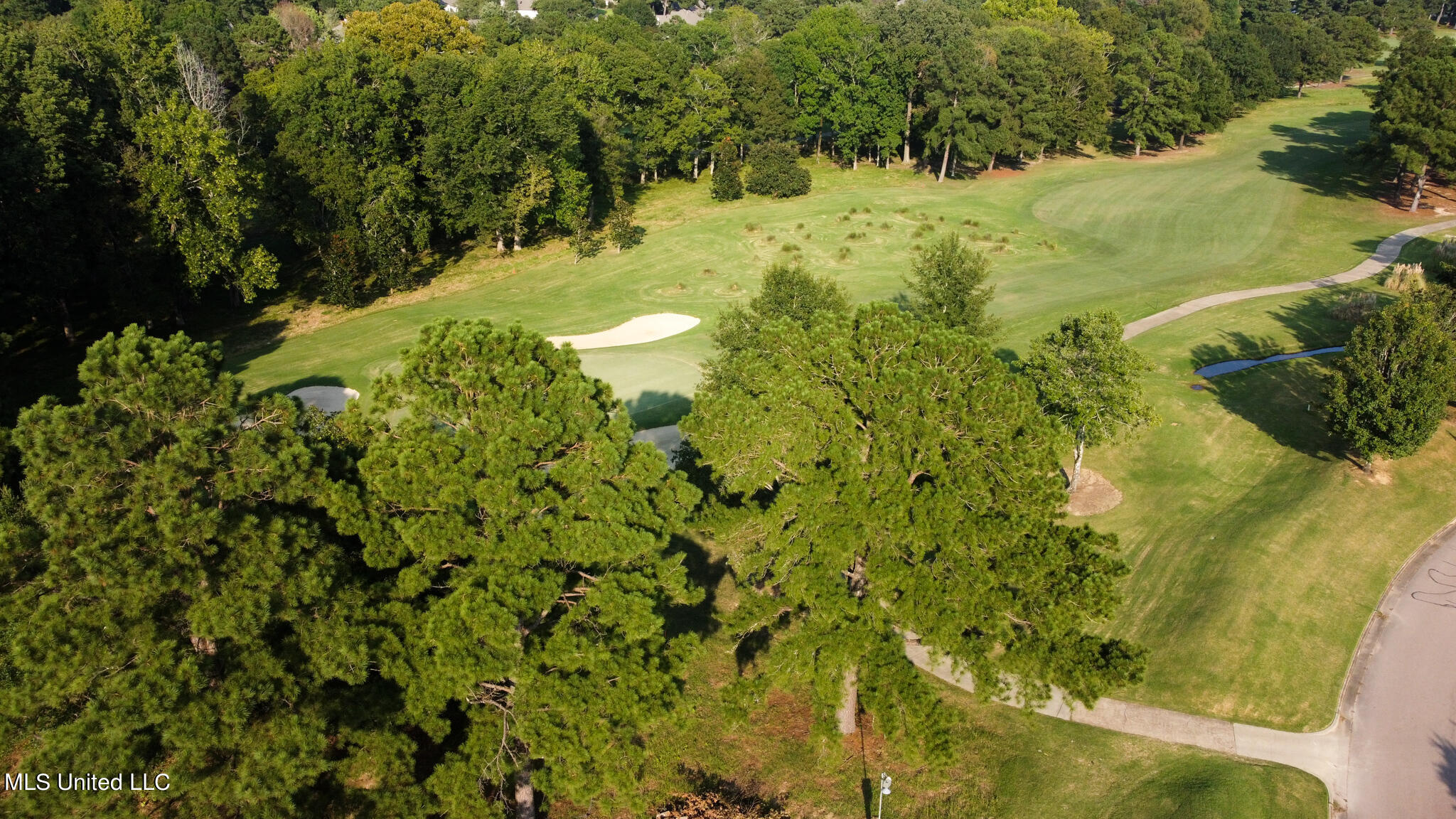Annandale Drive, Madison, Mississippi image 5