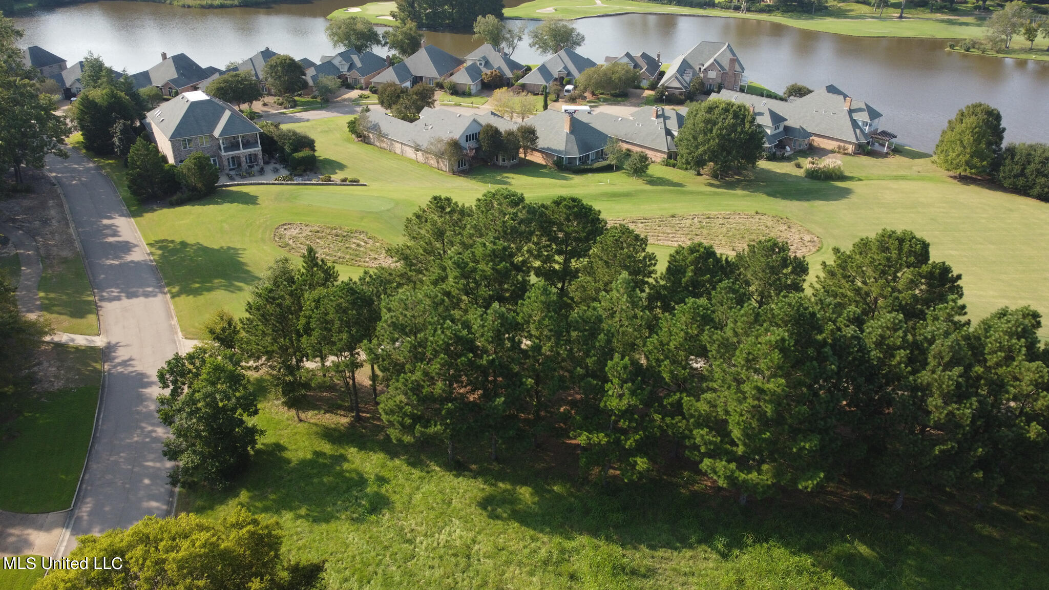 Annandale Drive, Madison, Mississippi image 9