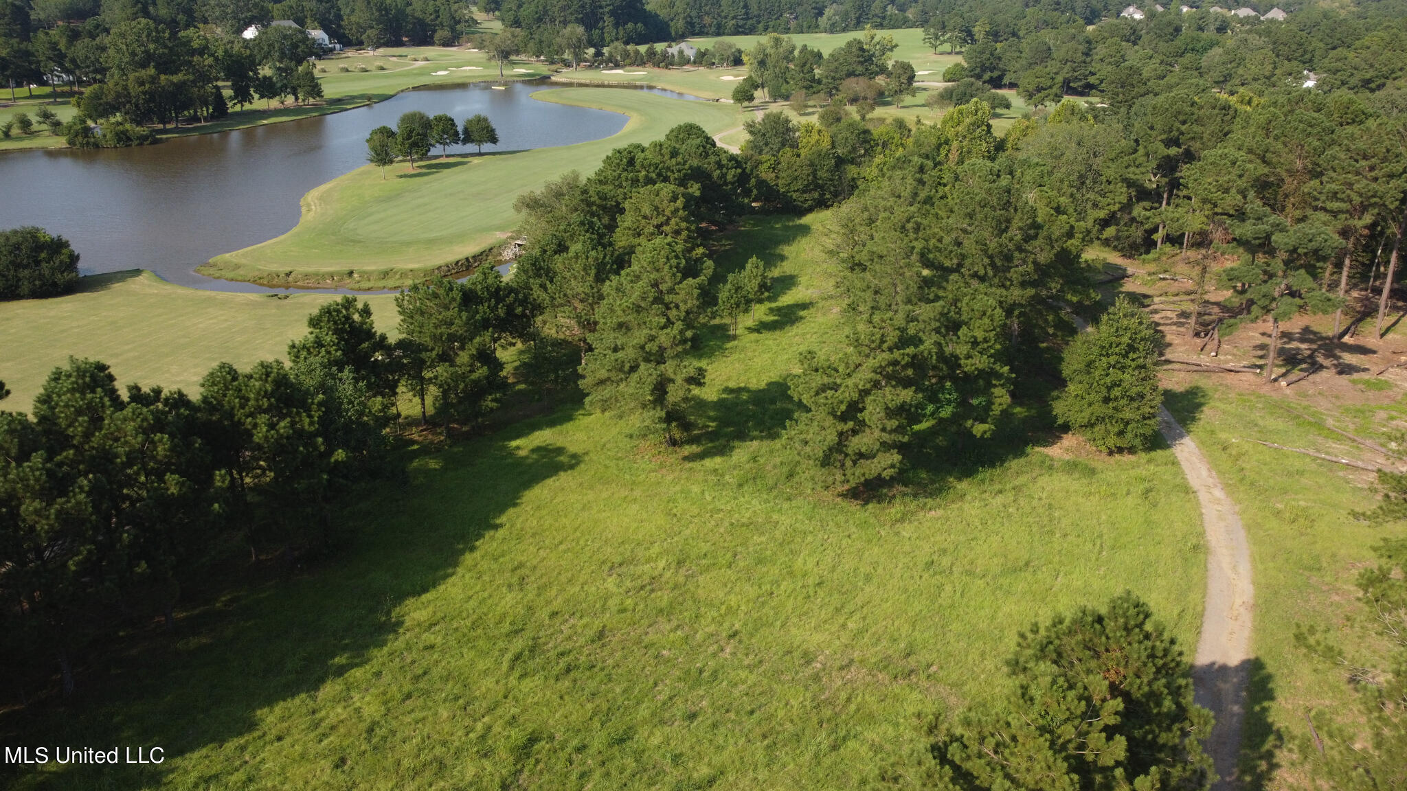 Annandale Drive, Madison, Mississippi image 10