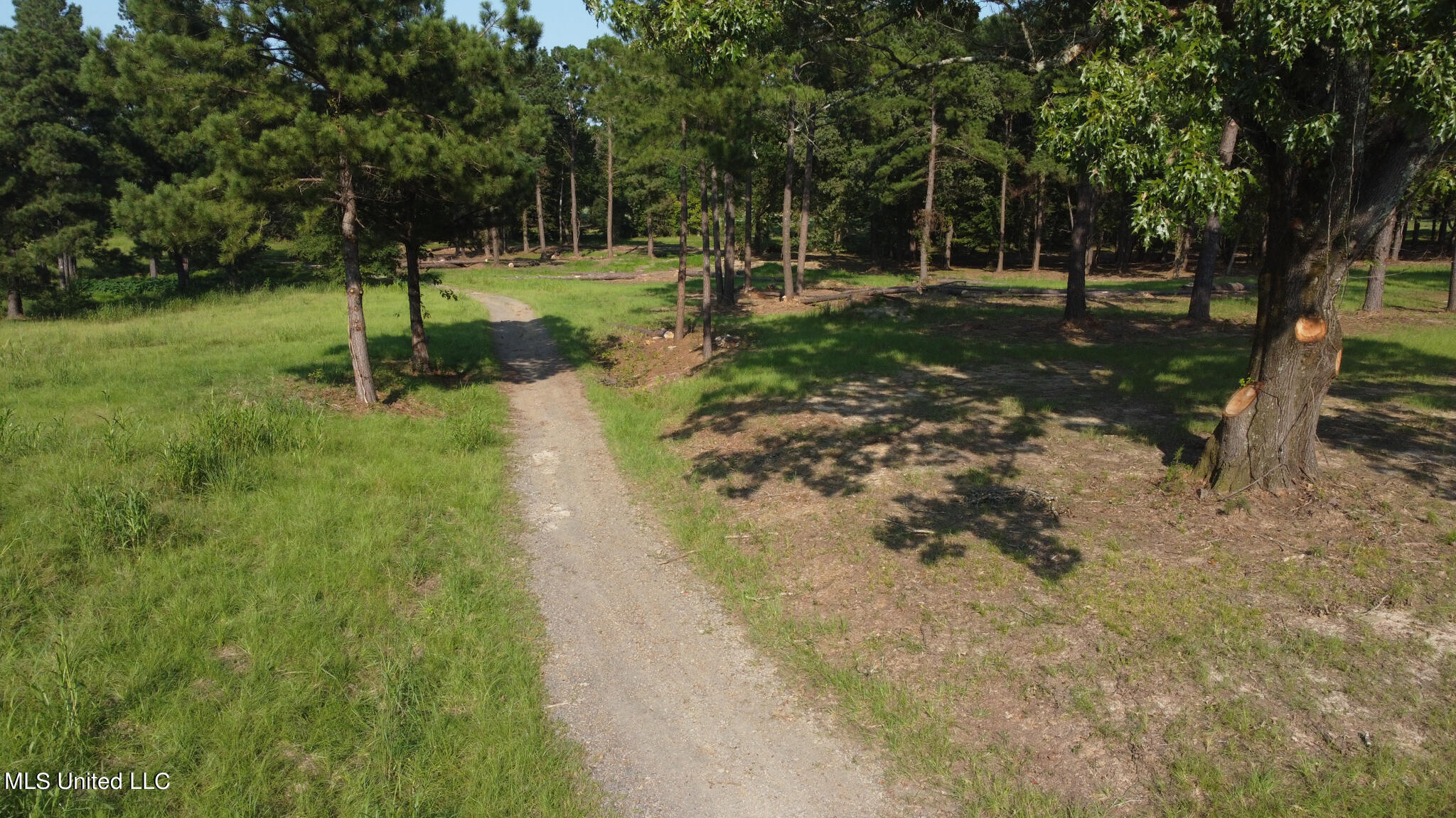Annandale Drive, Madison, Mississippi image 14