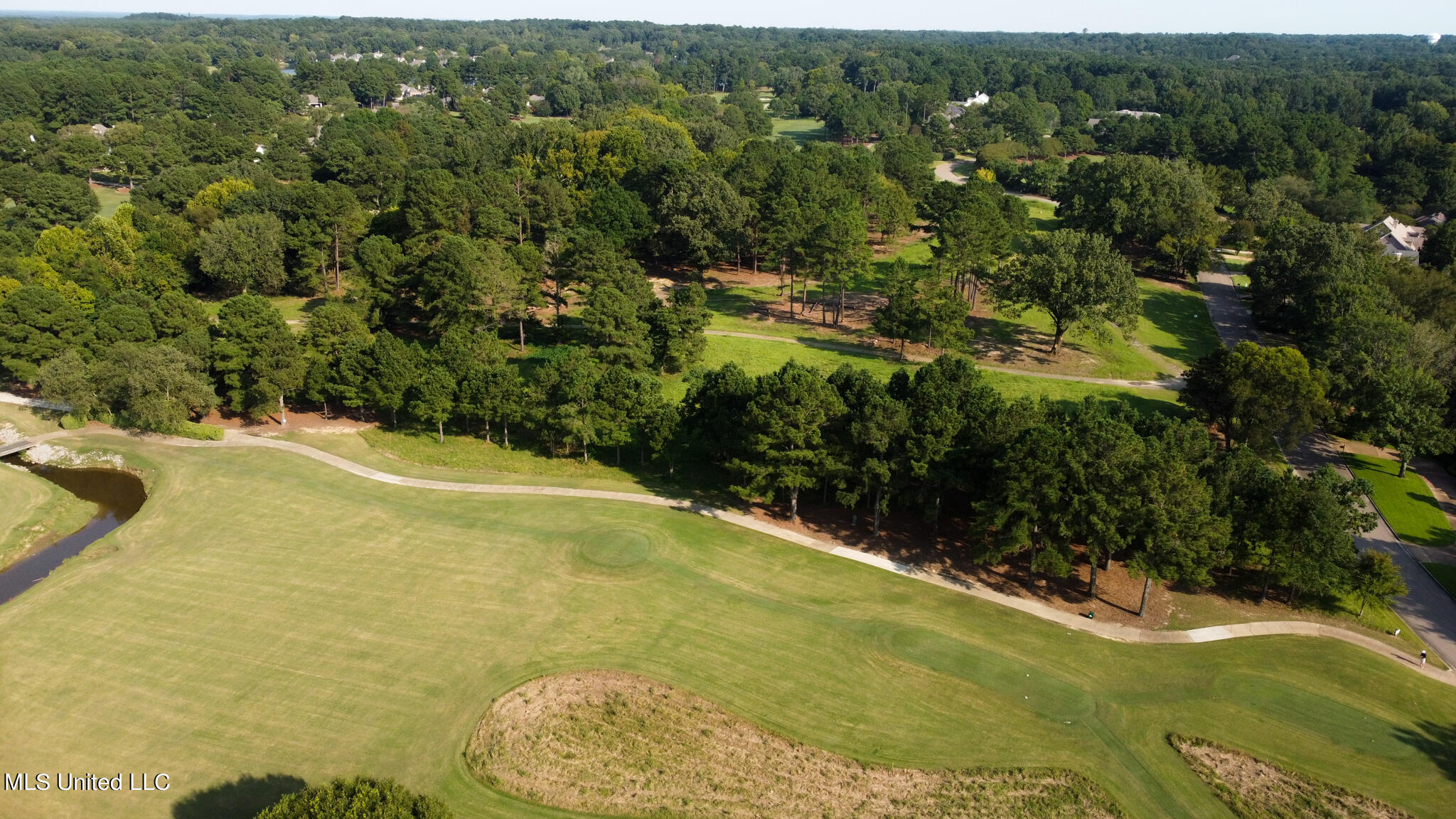 Annandale Drive, Madison, Mississippi image 8