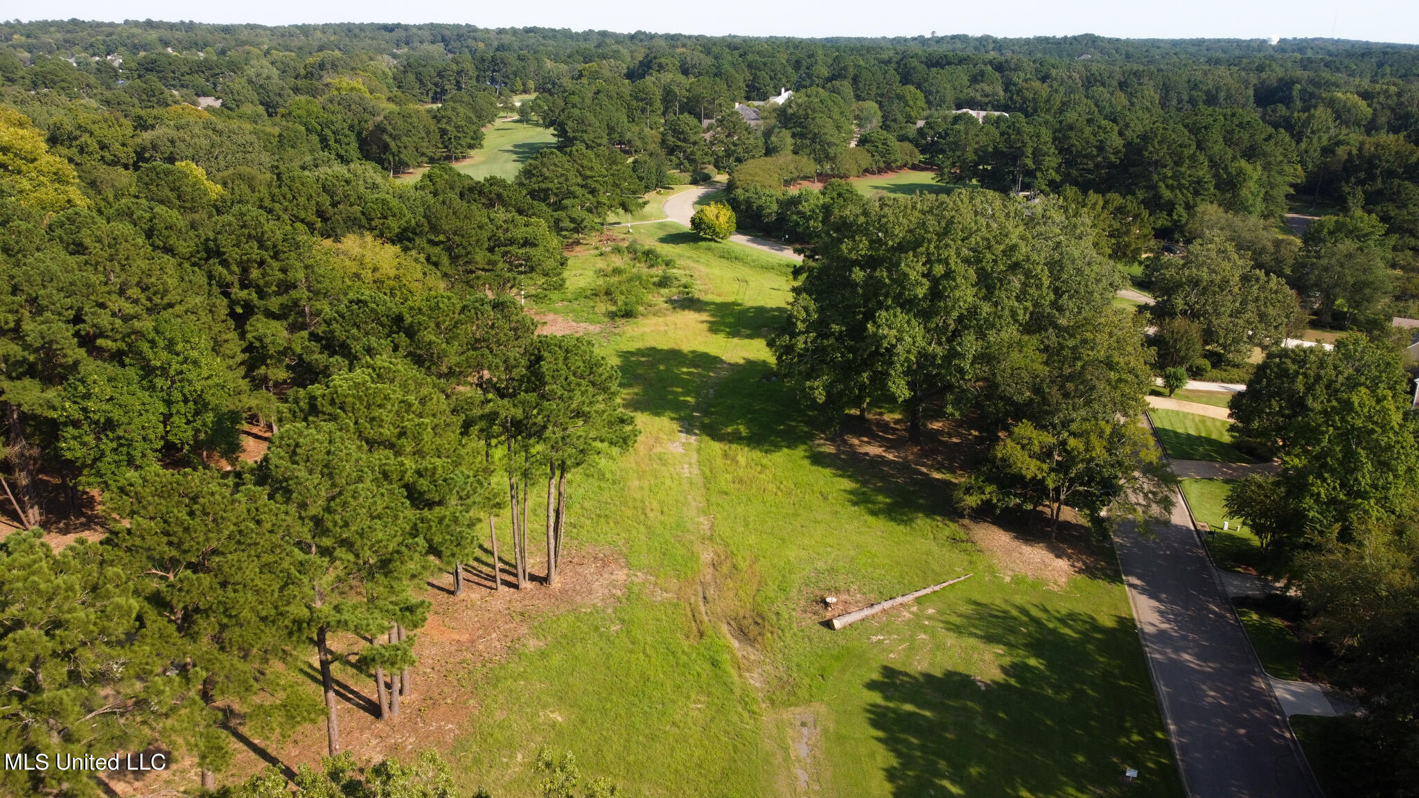 Annandale Drive, Madison, Mississippi image 1