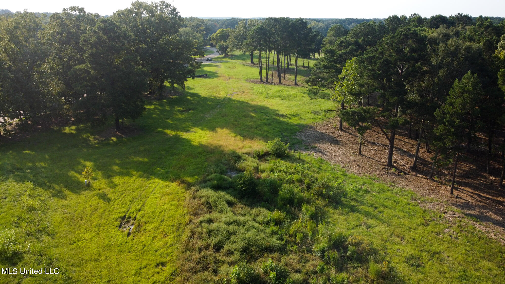 Annandale Drive, Madison, Mississippi image 6