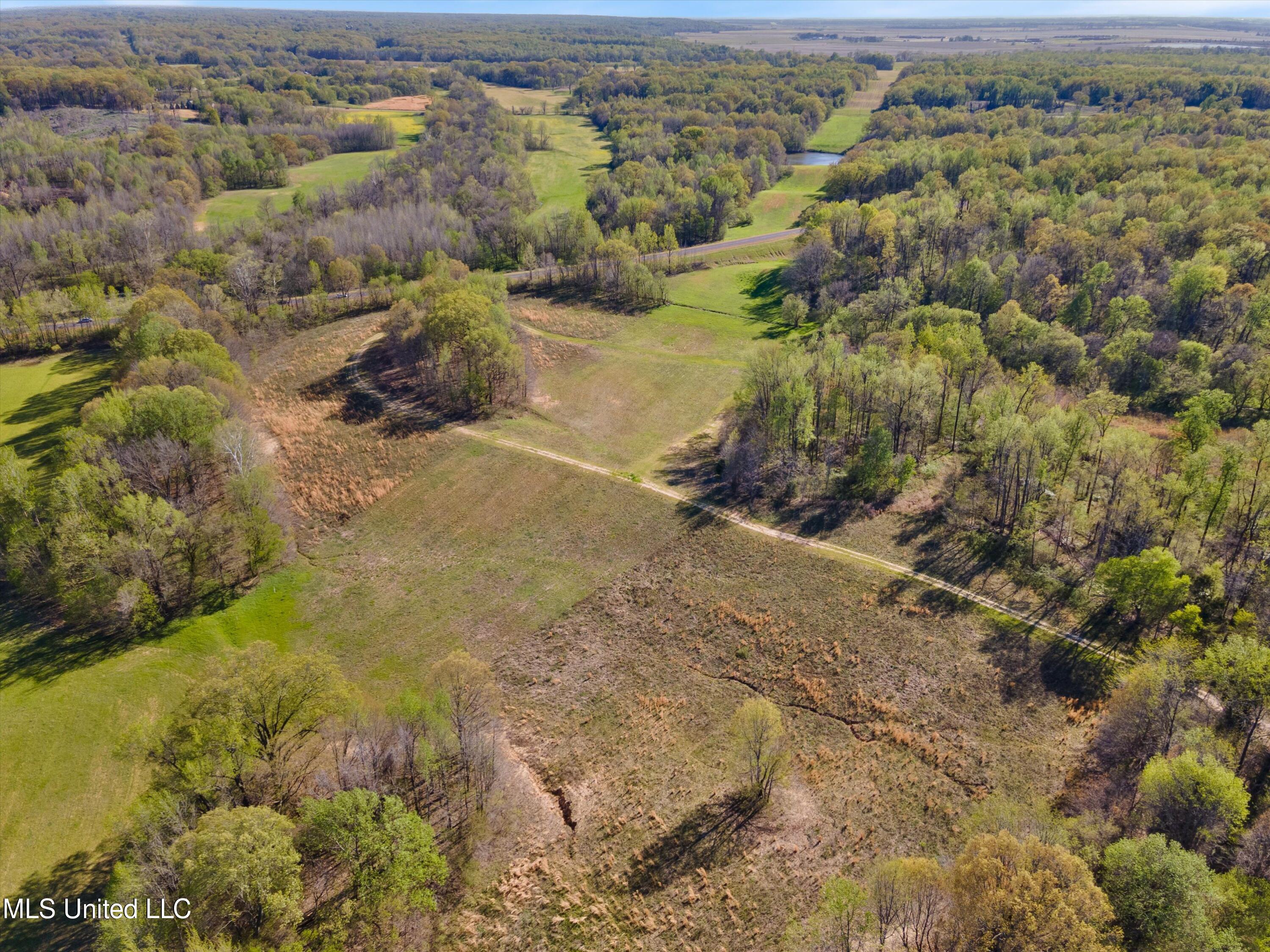 Church Road, Walls, Mississippi image 16