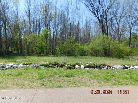 Vacant Land For Sale - Stockade Drive<br/> Olive Branch, MS 38654