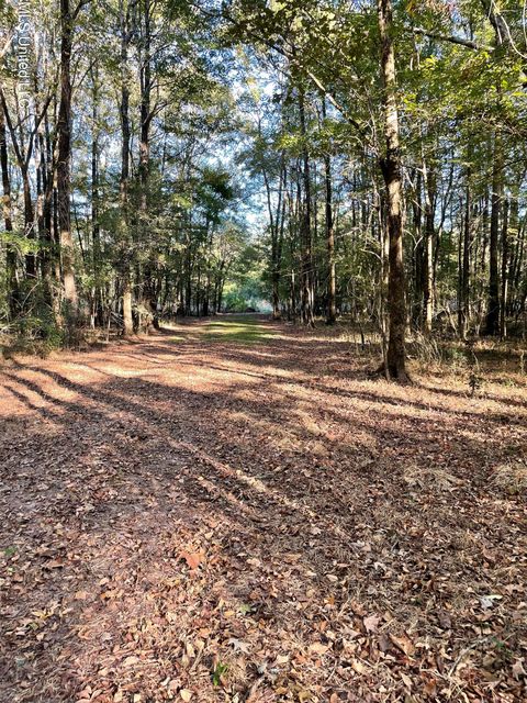 Vacant Land For Sale - NO E Lake Drive<br/> Hinds County, Clinton, MS 39056