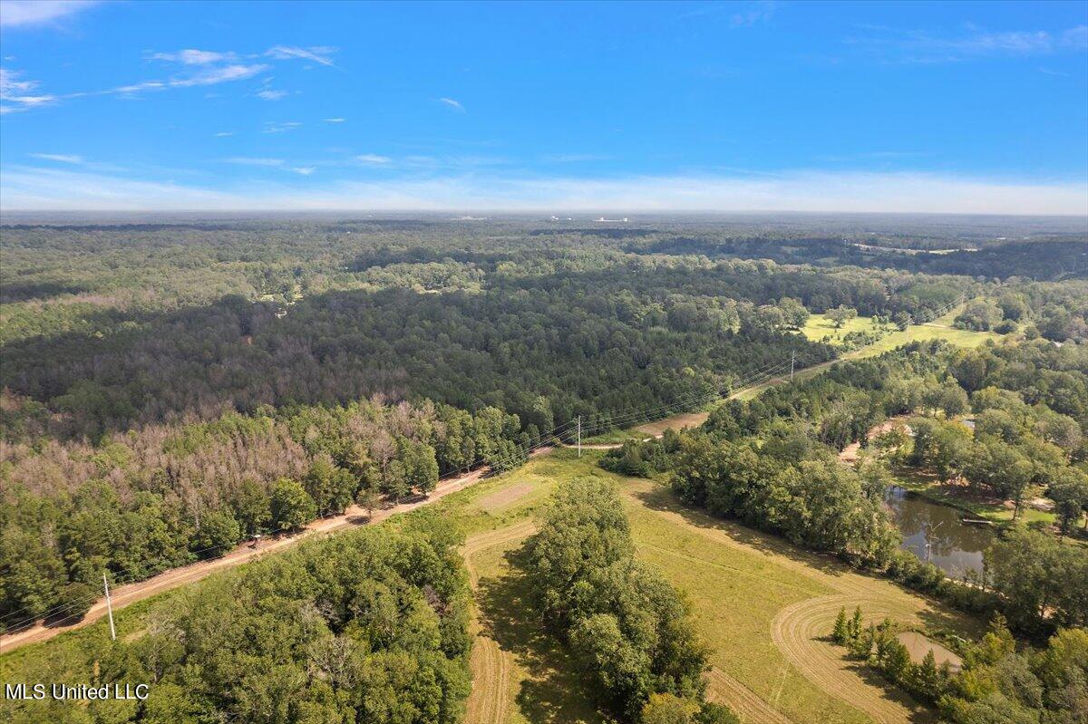 Terry Road, Terry, Mississippi image 8