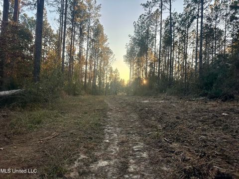 Vacant Land For Sale - 000 Monticello Road<br/> Wesson, MS 39191