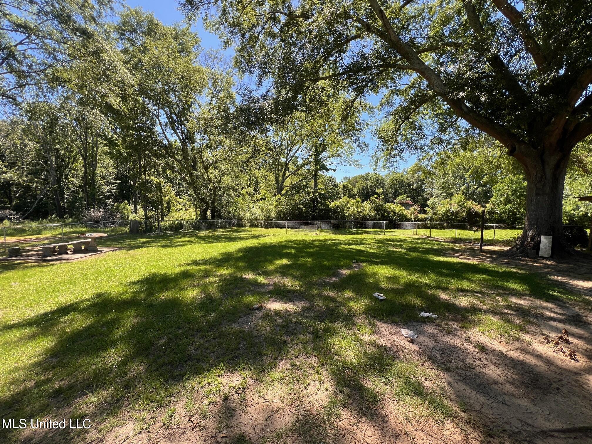 206 Shields Avenue, Pelahatchie, Mississippi image 8