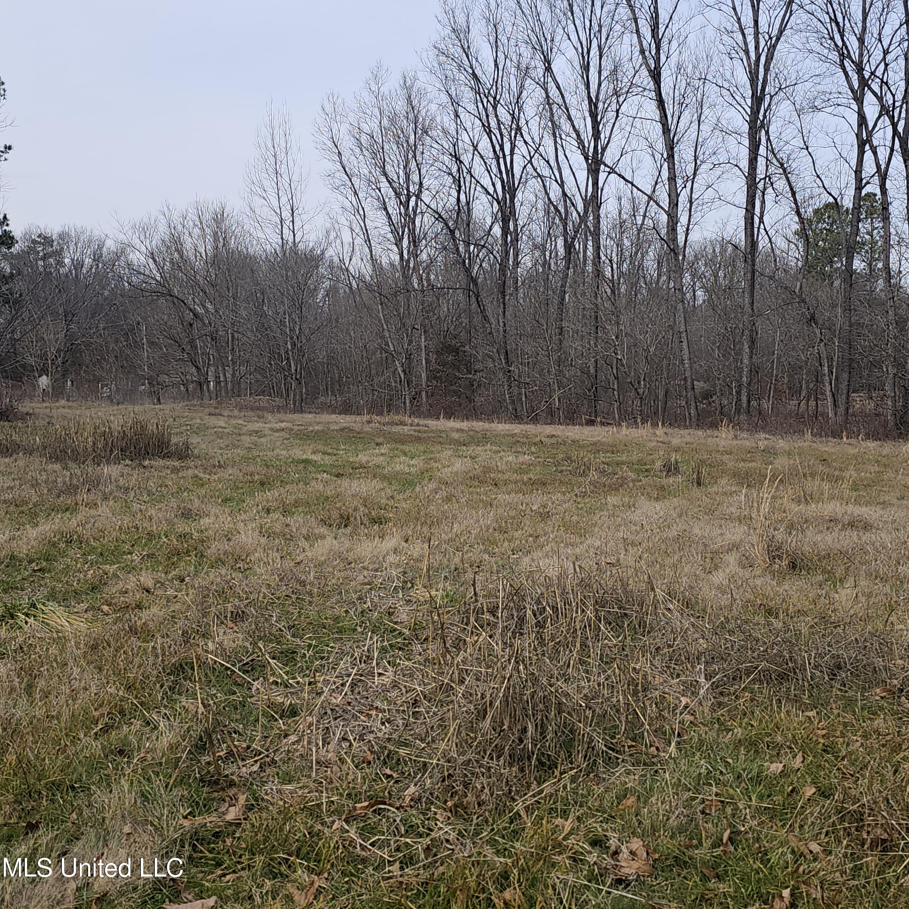 Dean Road, Lake Cormorant, Mississippi image 27