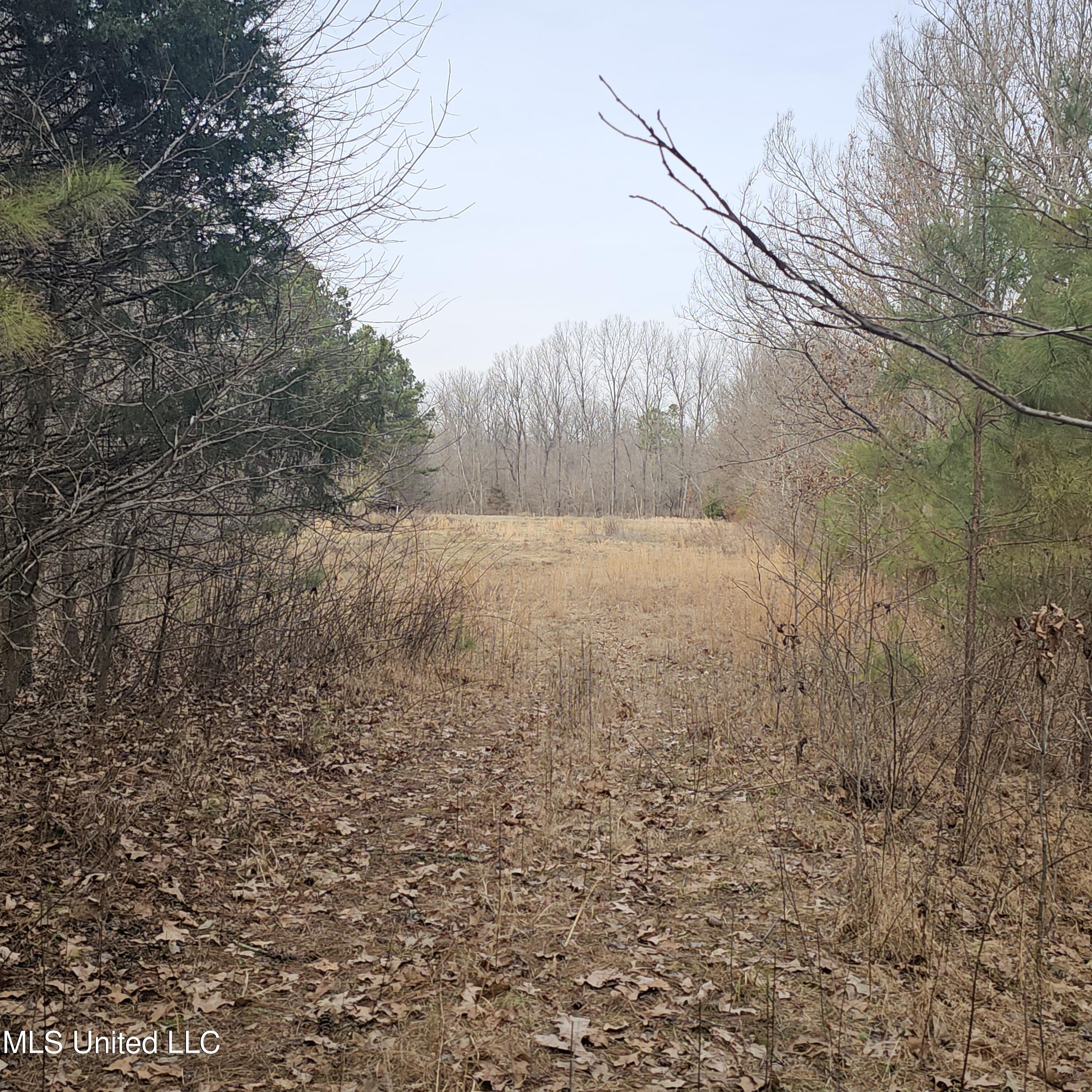 Dean Road, Lake Cormorant, Mississippi image 25