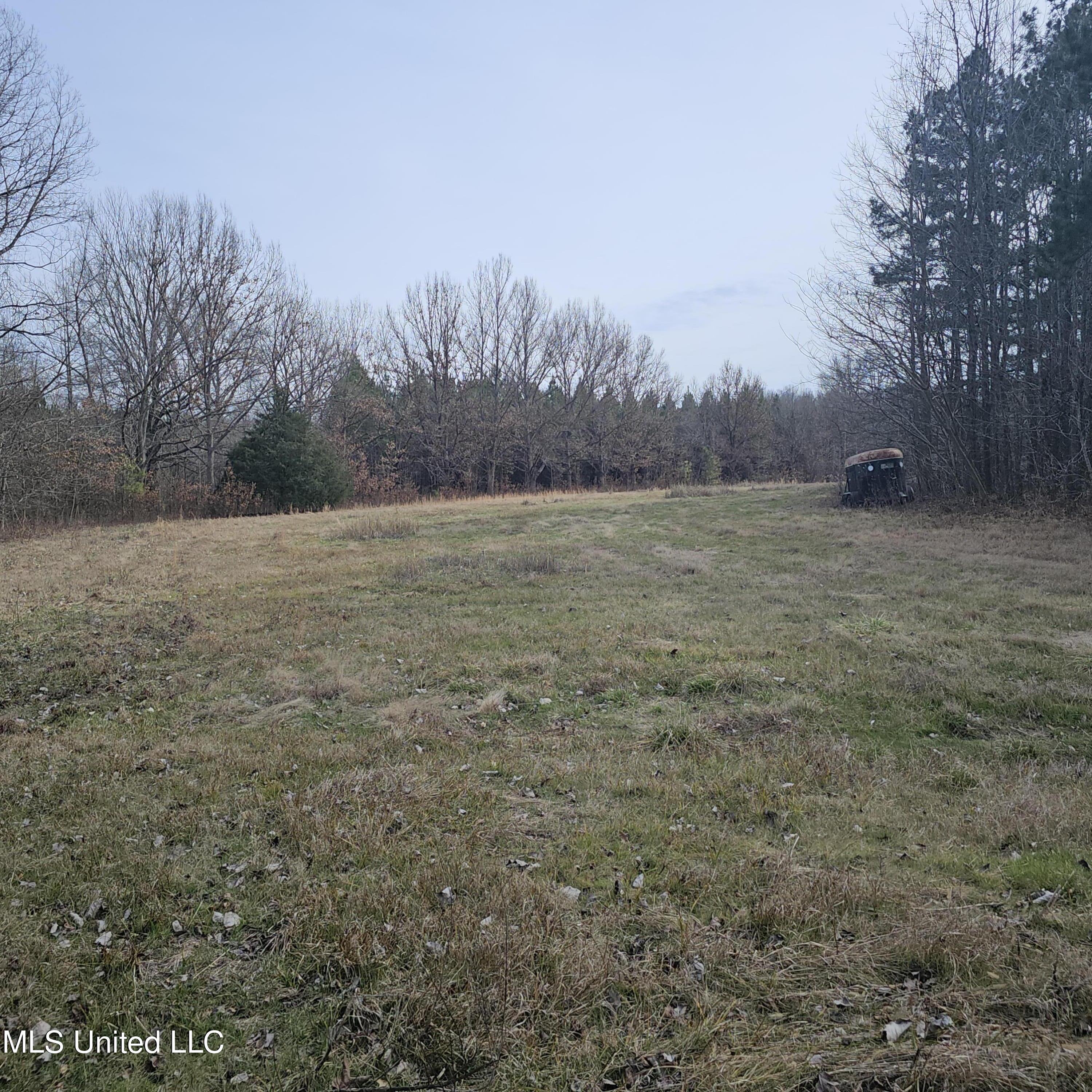 Dean Road, Lake Cormorant, Mississippi image 7