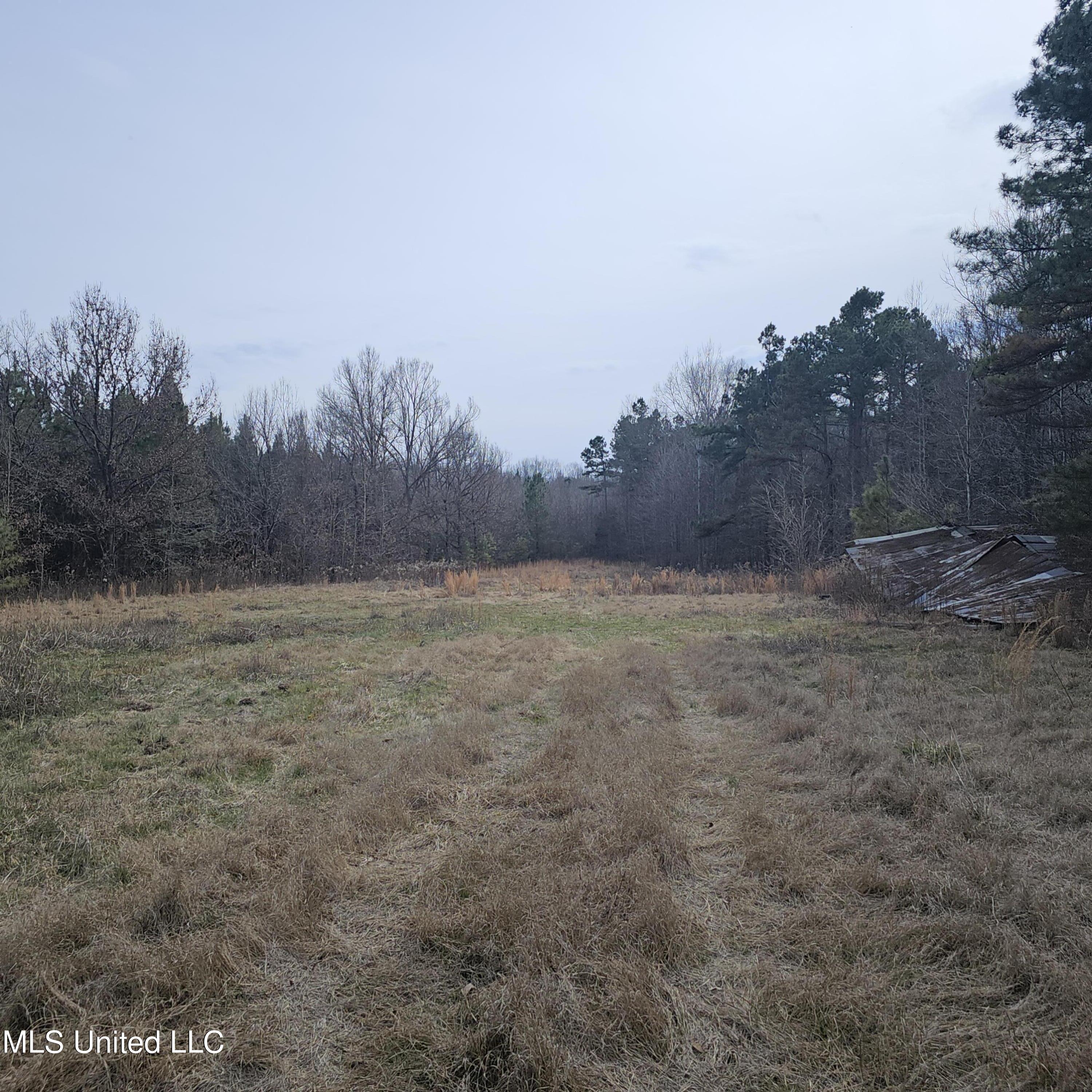 Dean Road, Lake Cormorant, Mississippi image 10