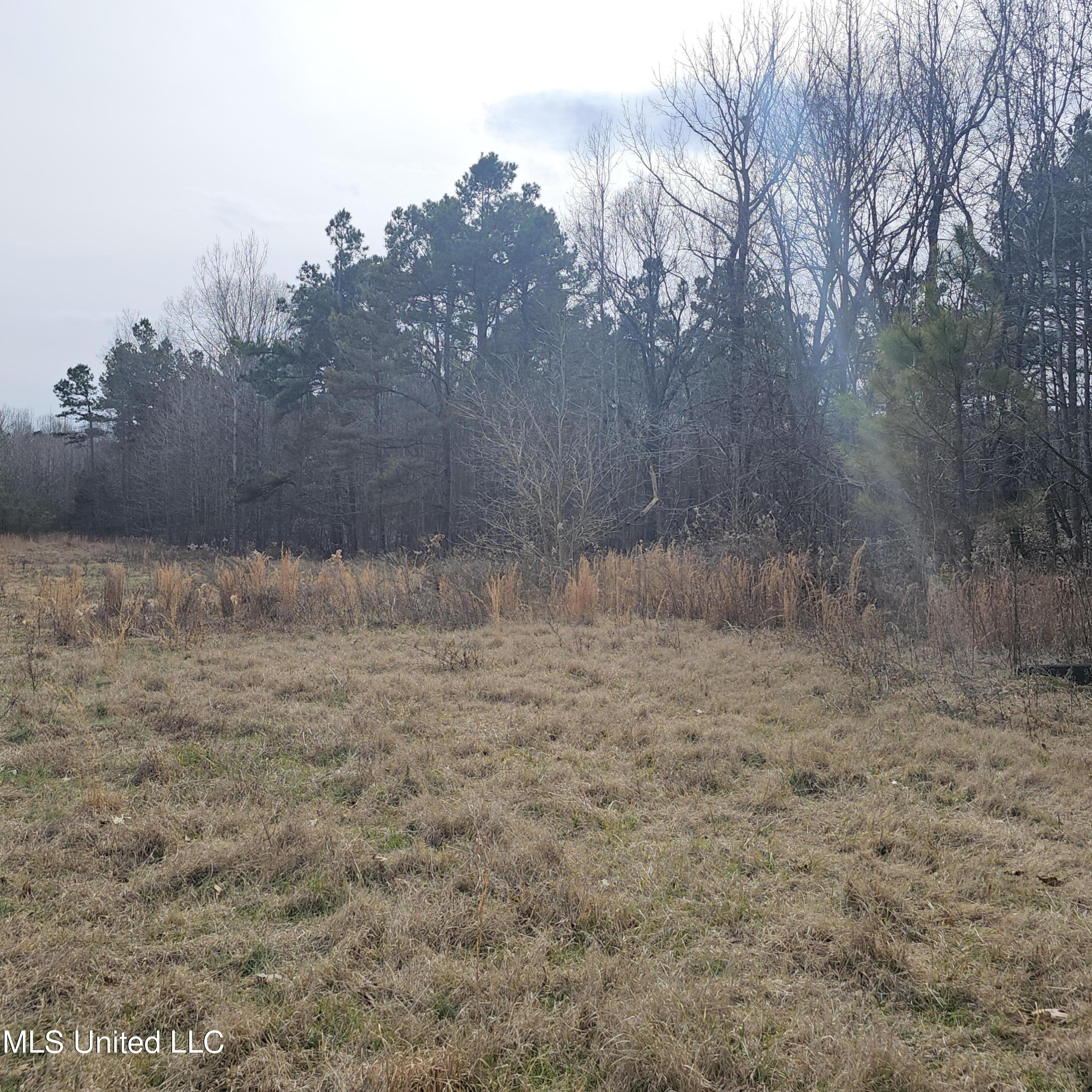 Dean Road, Lake Cormorant, Mississippi image 11