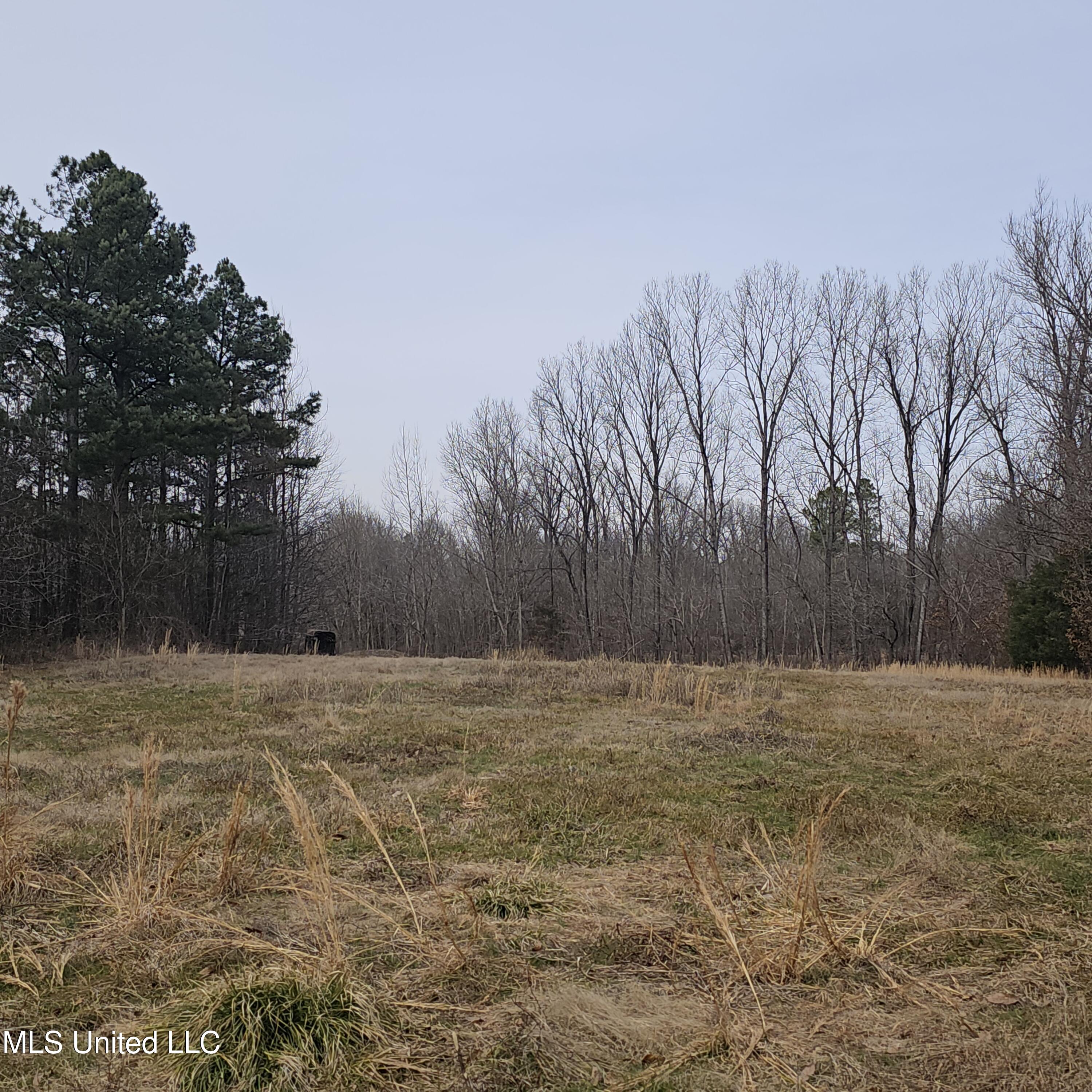 Dean Road, Lake Cormorant, Mississippi image 26