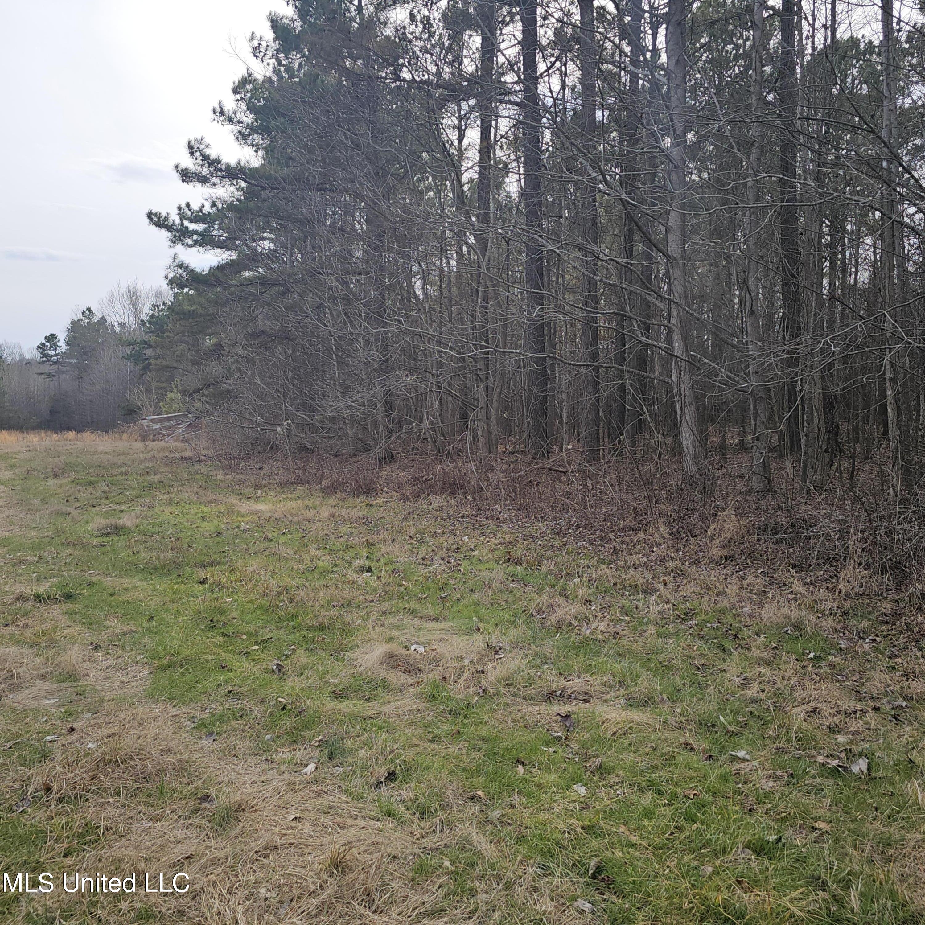 Dean Road, Lake Cormorant, Mississippi image 9