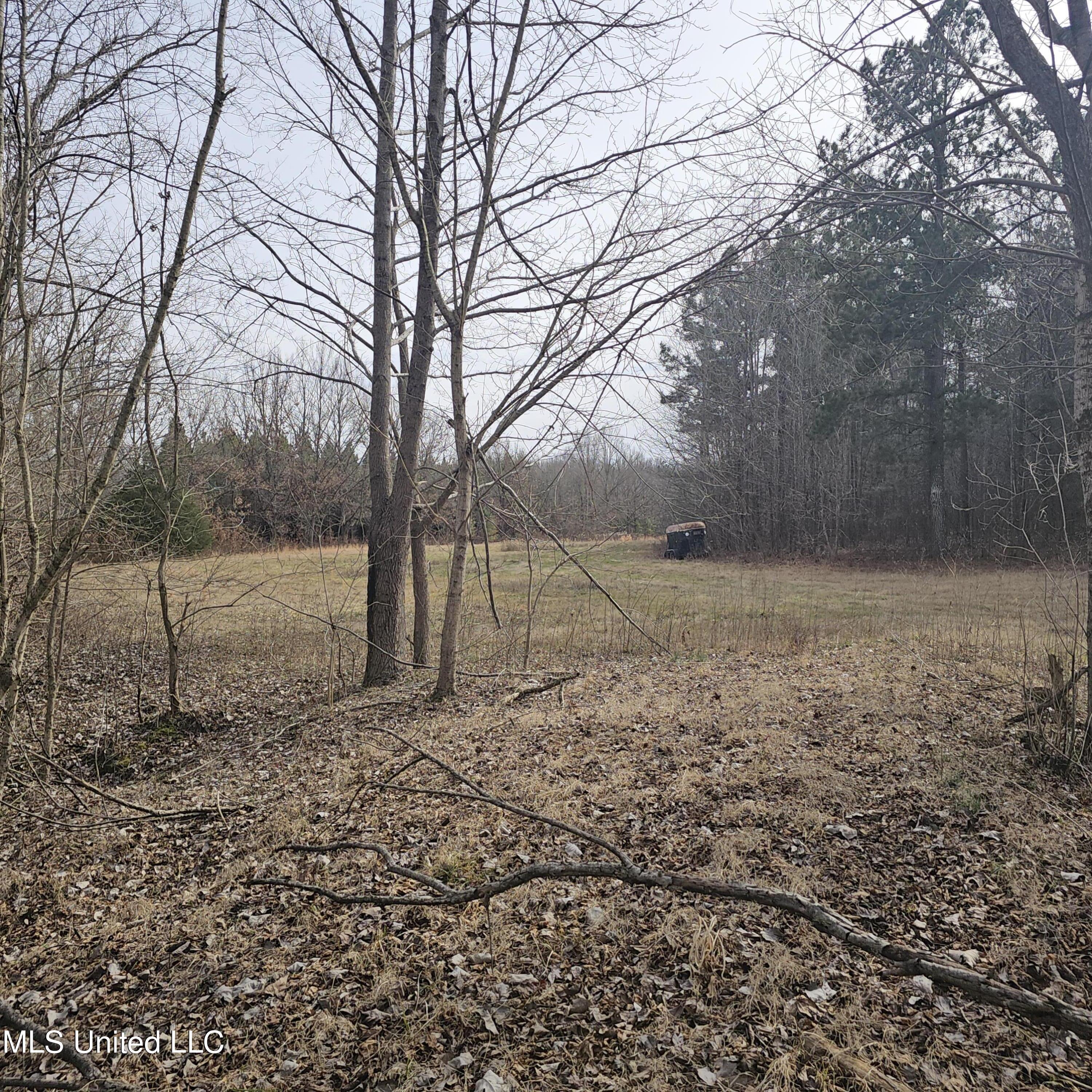 Dean Road, Lake Cormorant, Mississippi image 6