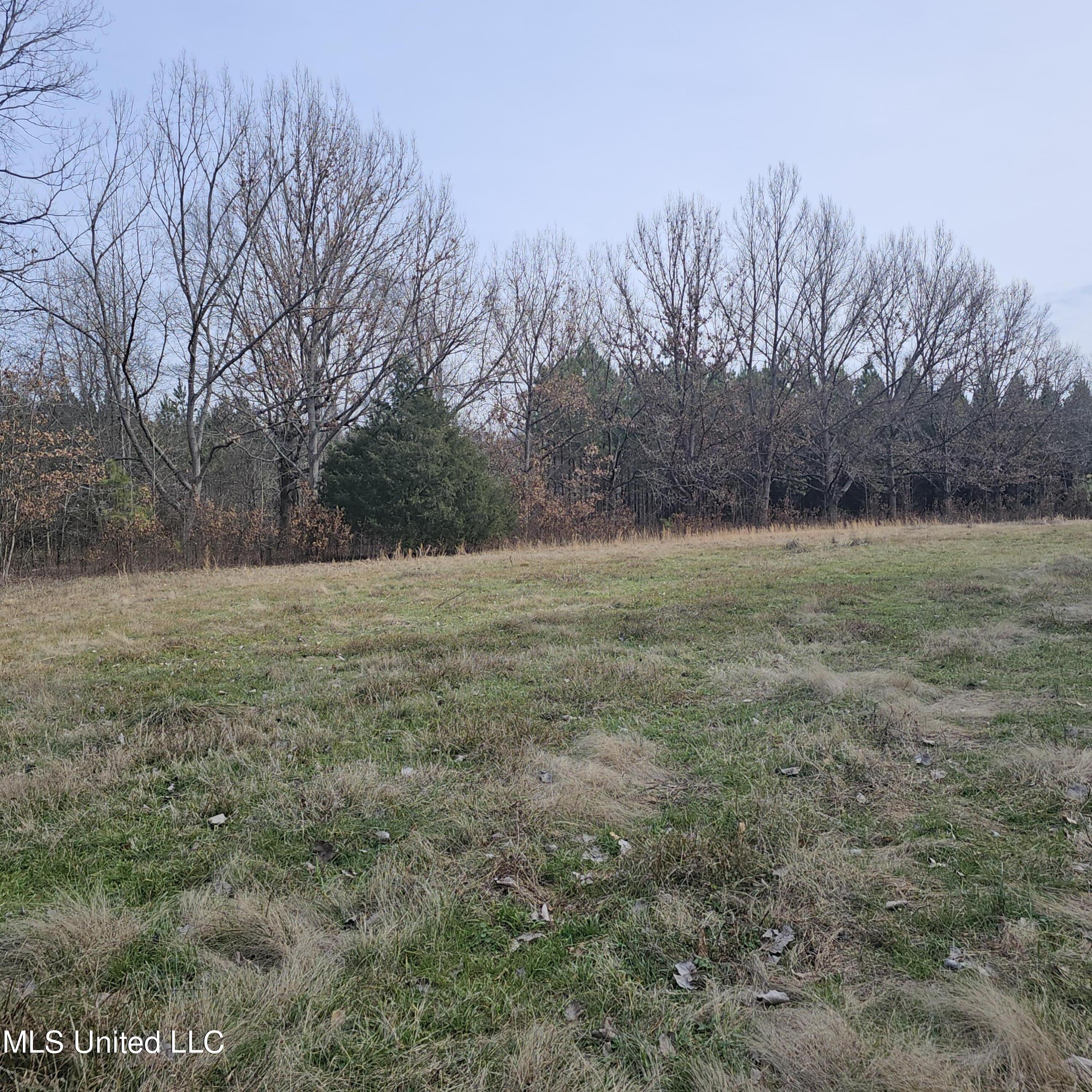 Dean Road, Lake Cormorant, Mississippi image 8