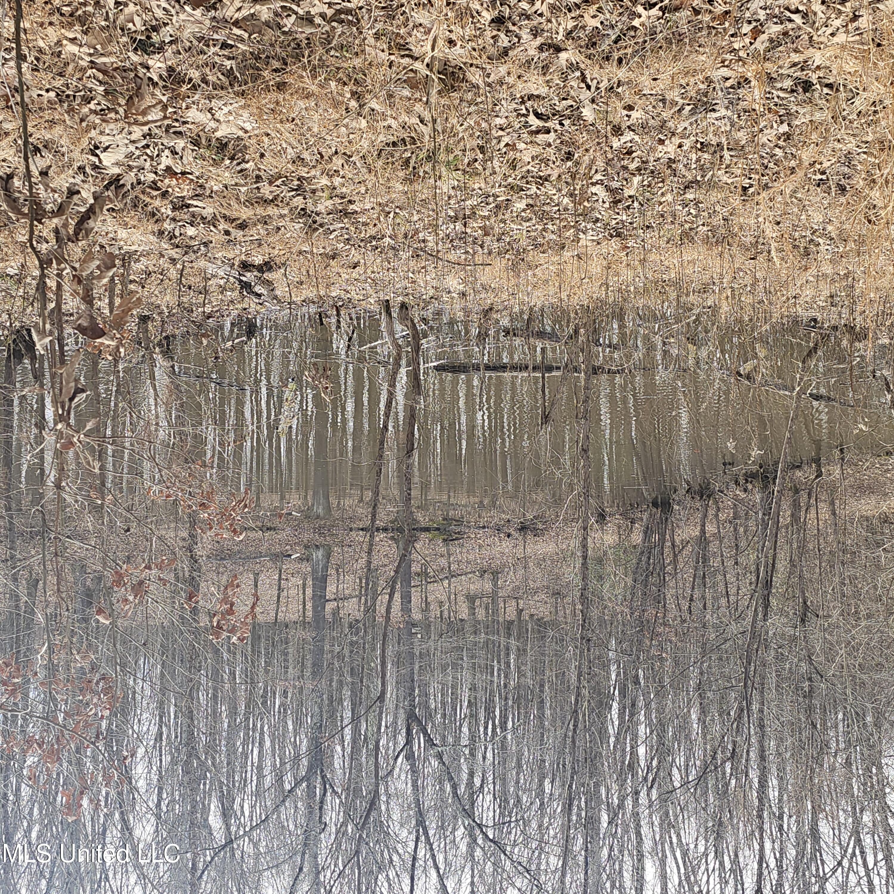 Dean Road, Lake Cormorant, Mississippi image 1