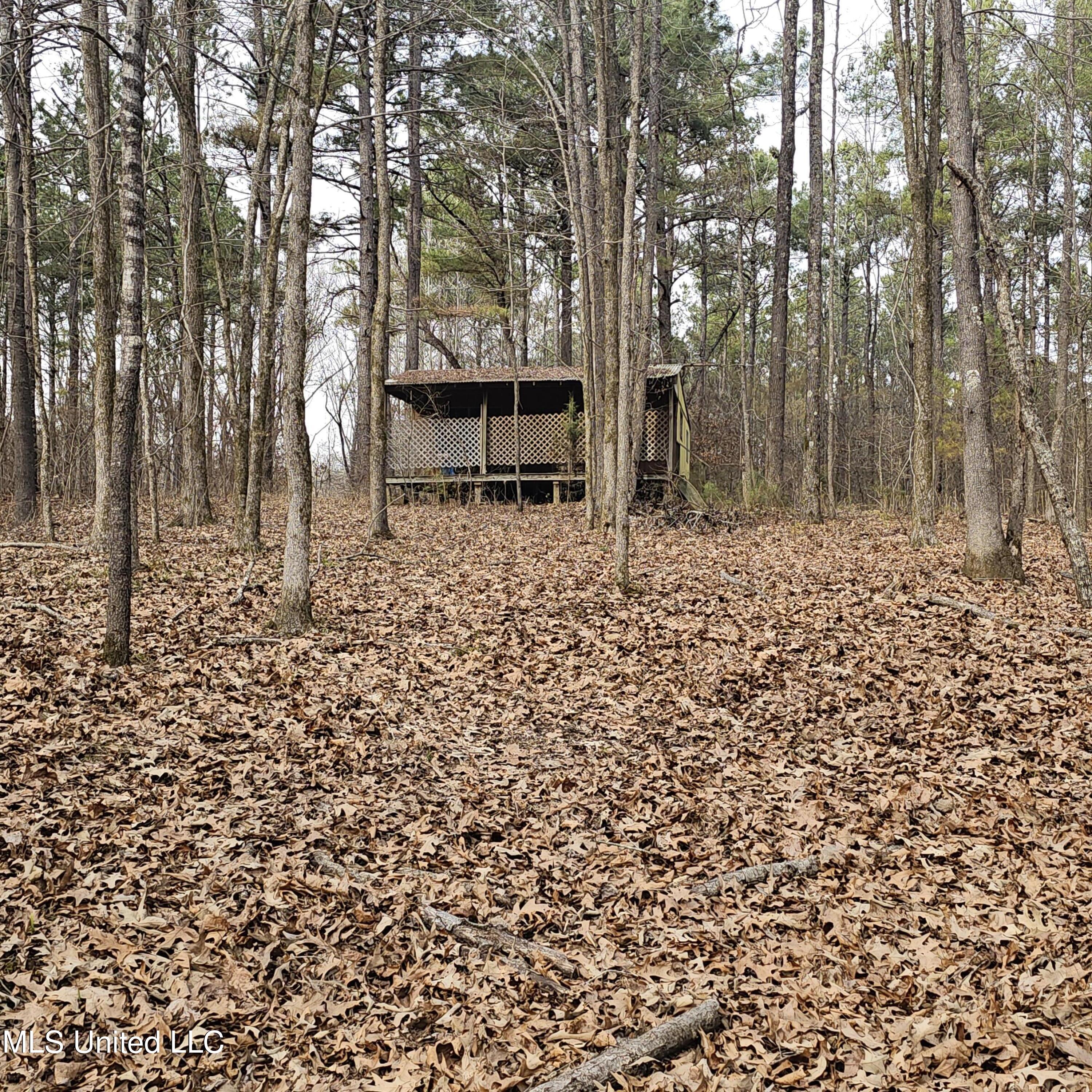 Dean Road, Lake Cormorant, Mississippi image 21