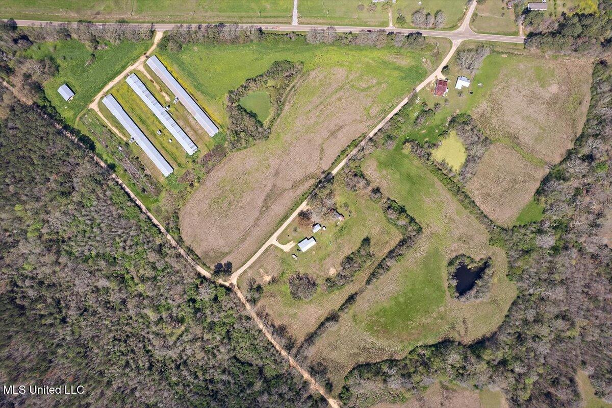 122 Shotts Road, Mendenhall, Mississippi image 3